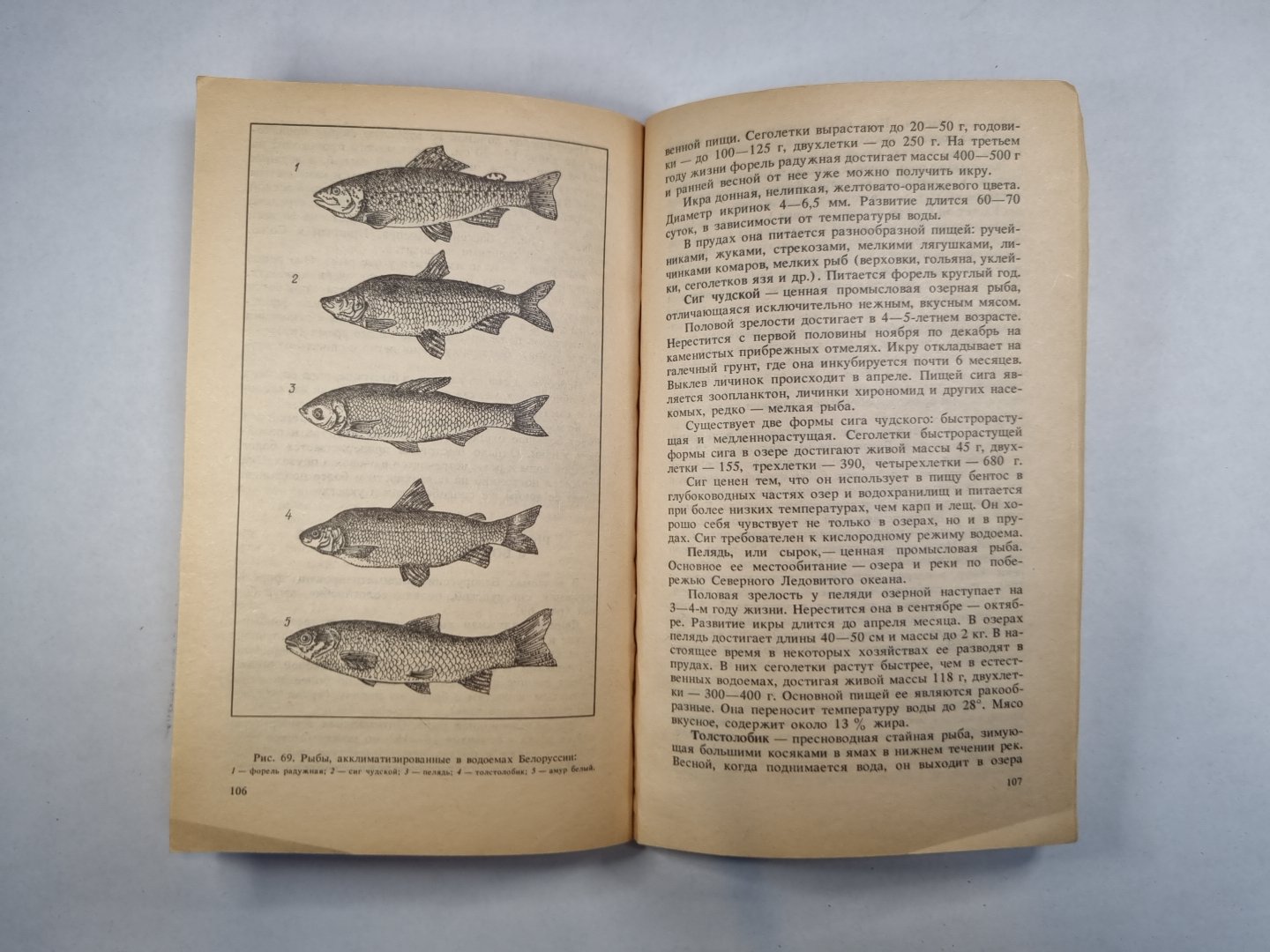 Судочкой по водоемам