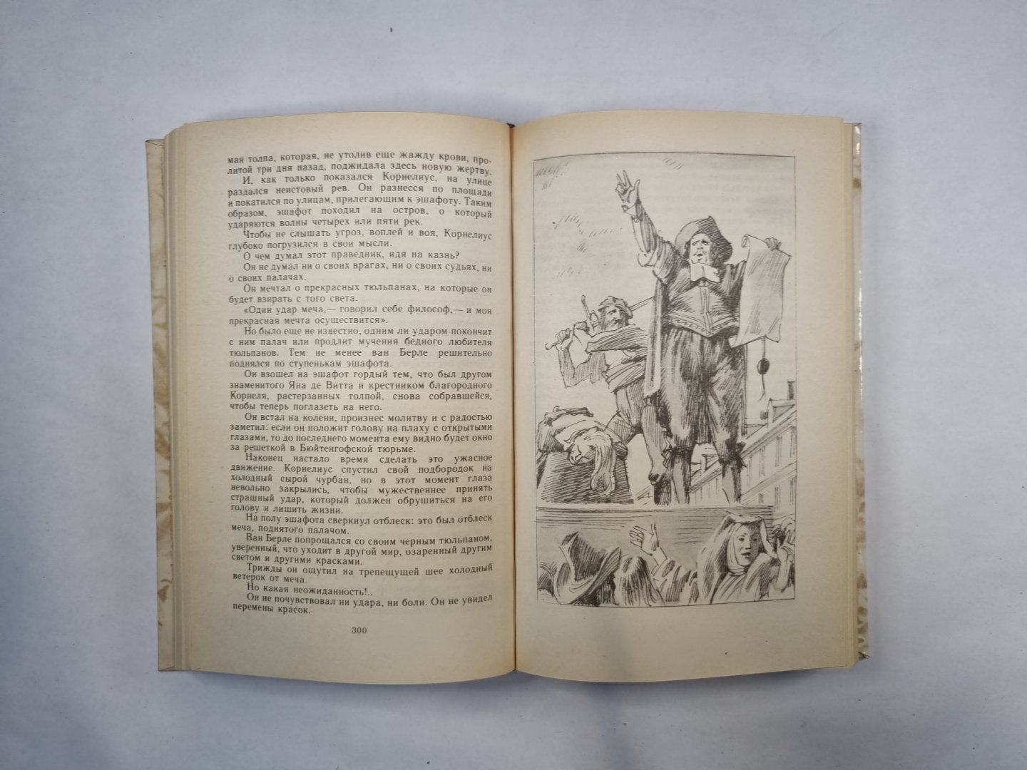 Учитель фехтования. Черный тюльпан