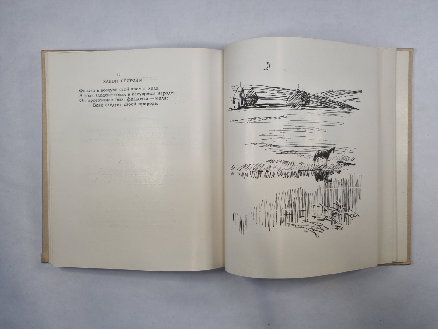 Stychi написанные в Михайловском