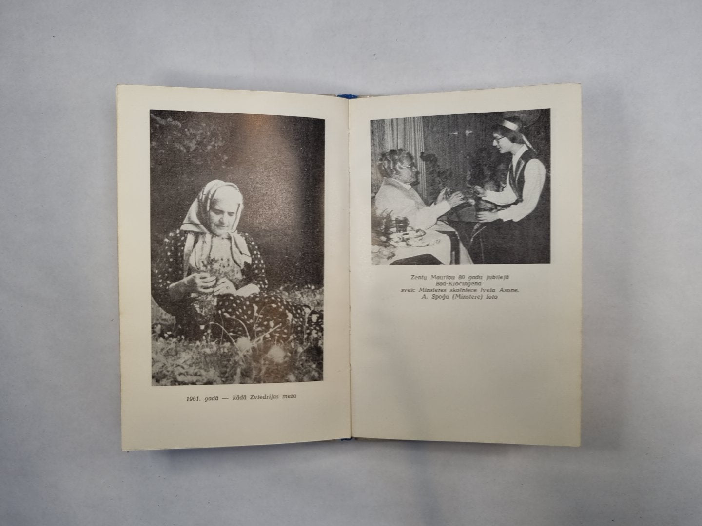 Dzīves un daiļrades lappus