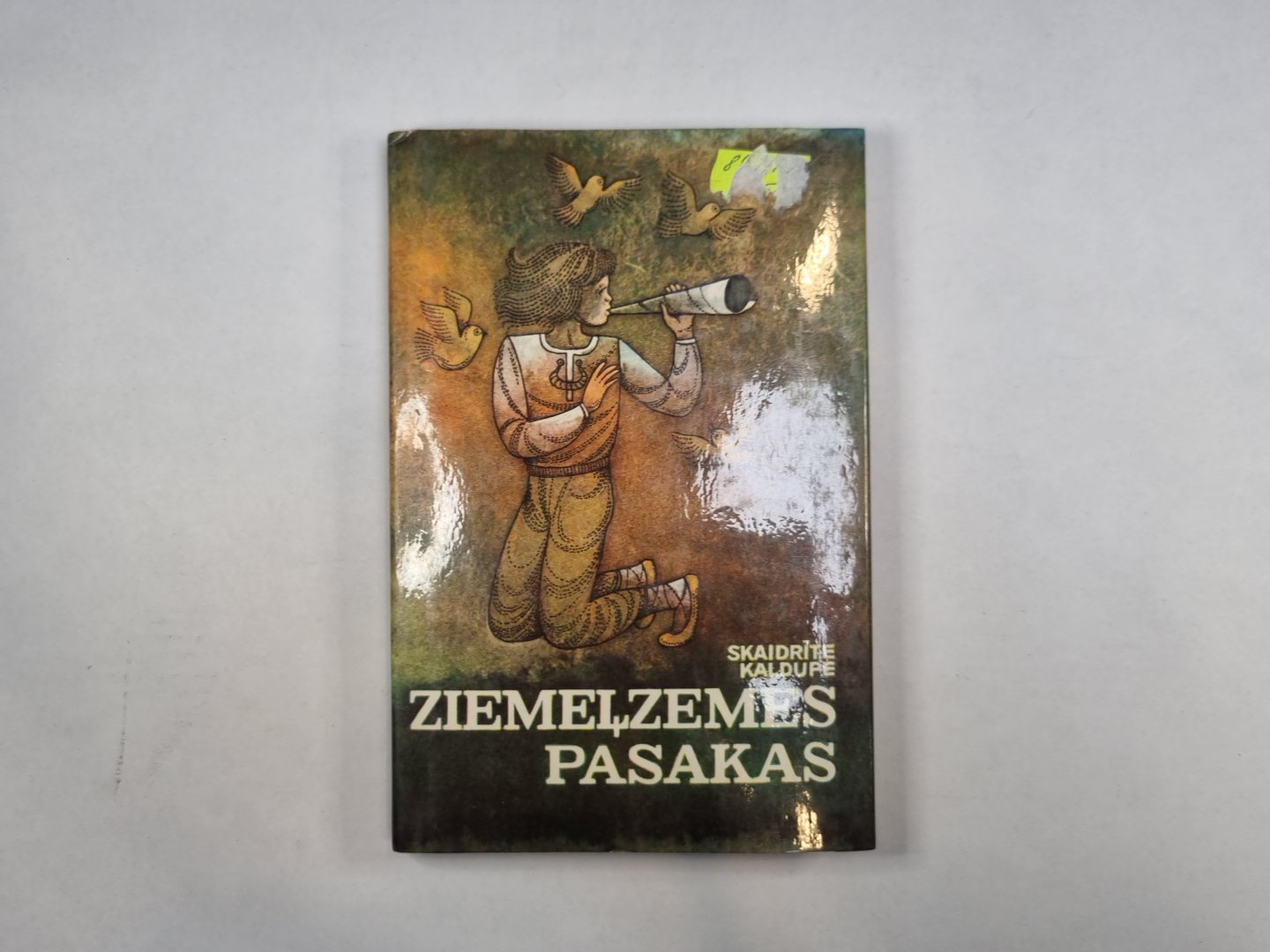 Ziemeļzemes pasakas