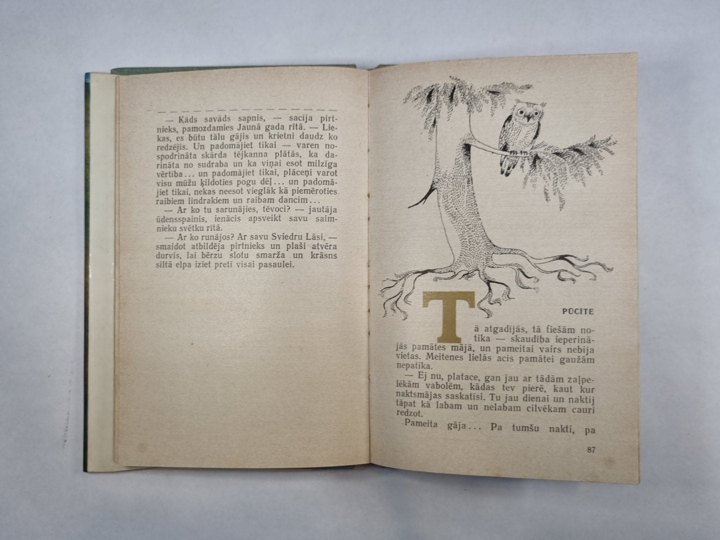 Ziemeļzemes pasakas