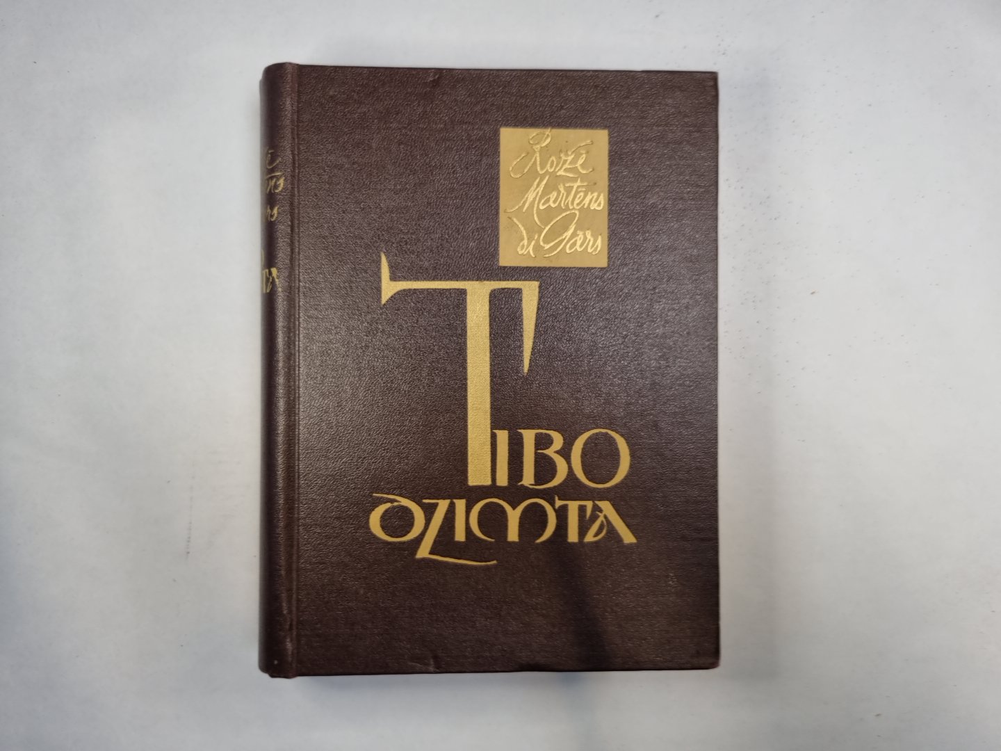 Tibo dzimta. Pirmā grāmata