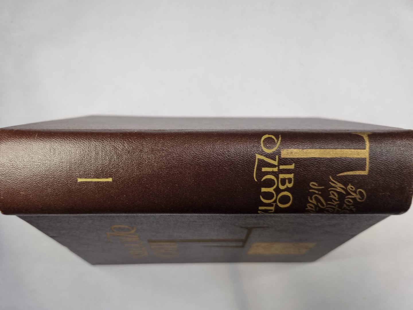 Tibo dzimta. Pirmā grāmata