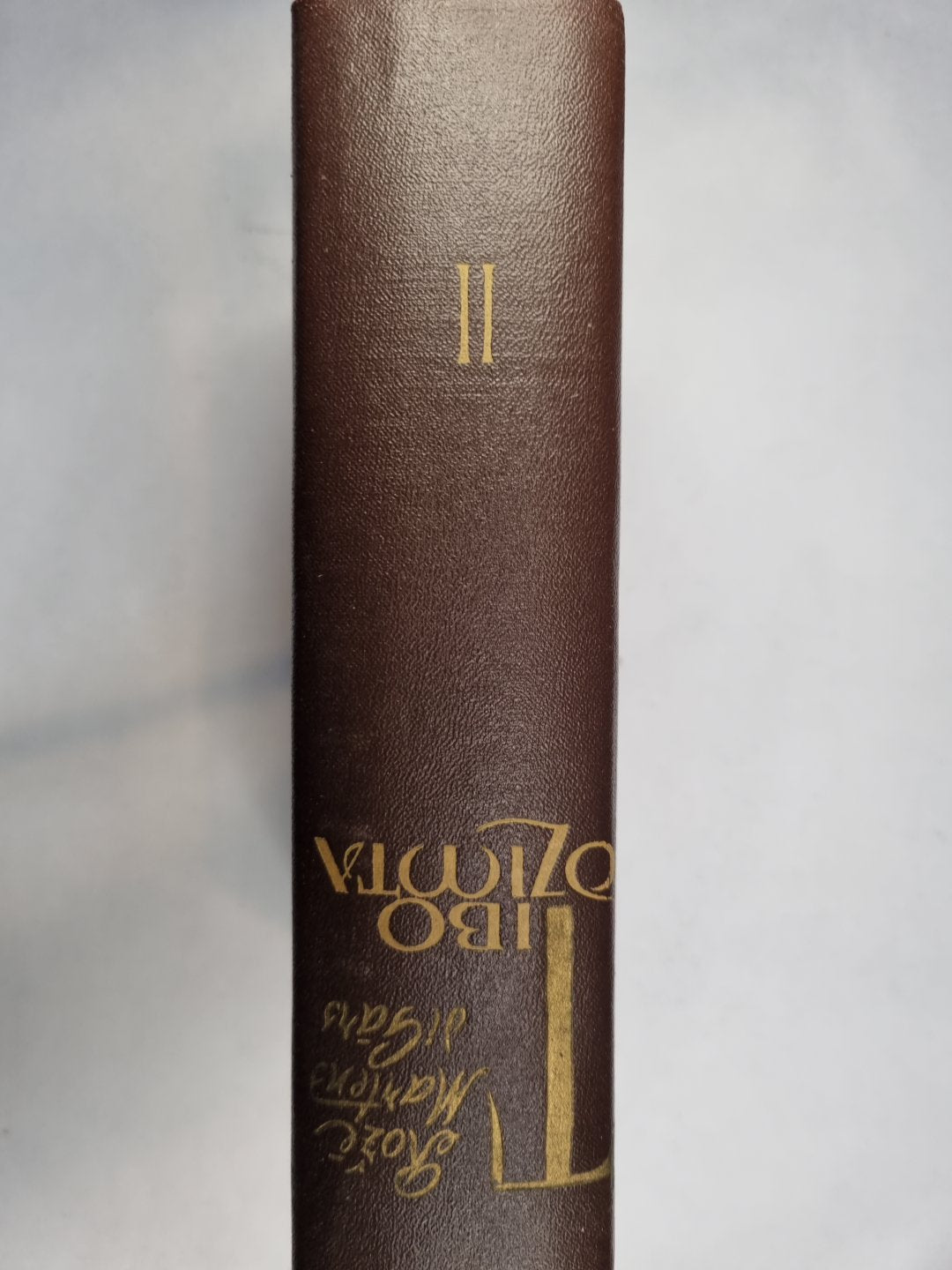 Tibo dzimta. Otrā grāmata