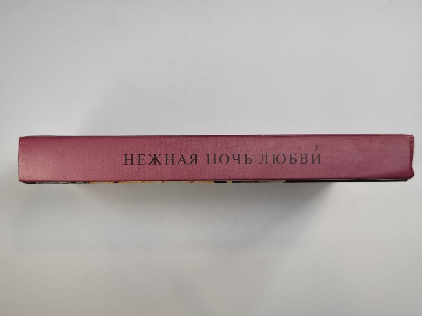 Нежная ночь любви