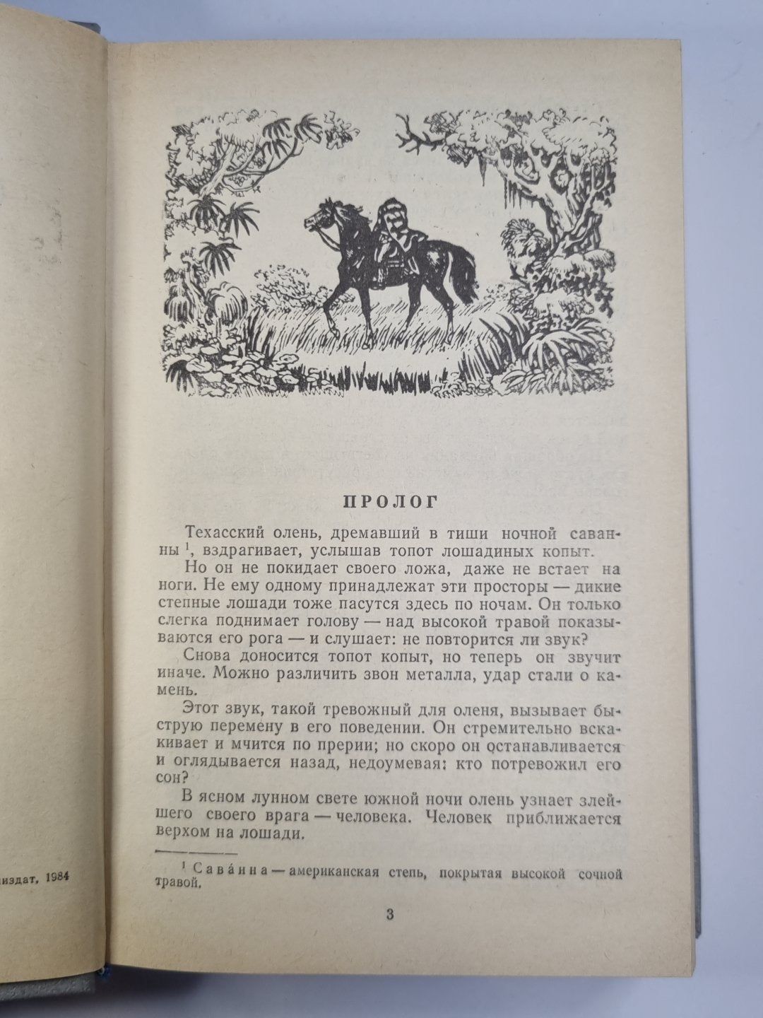 Всадник без головы