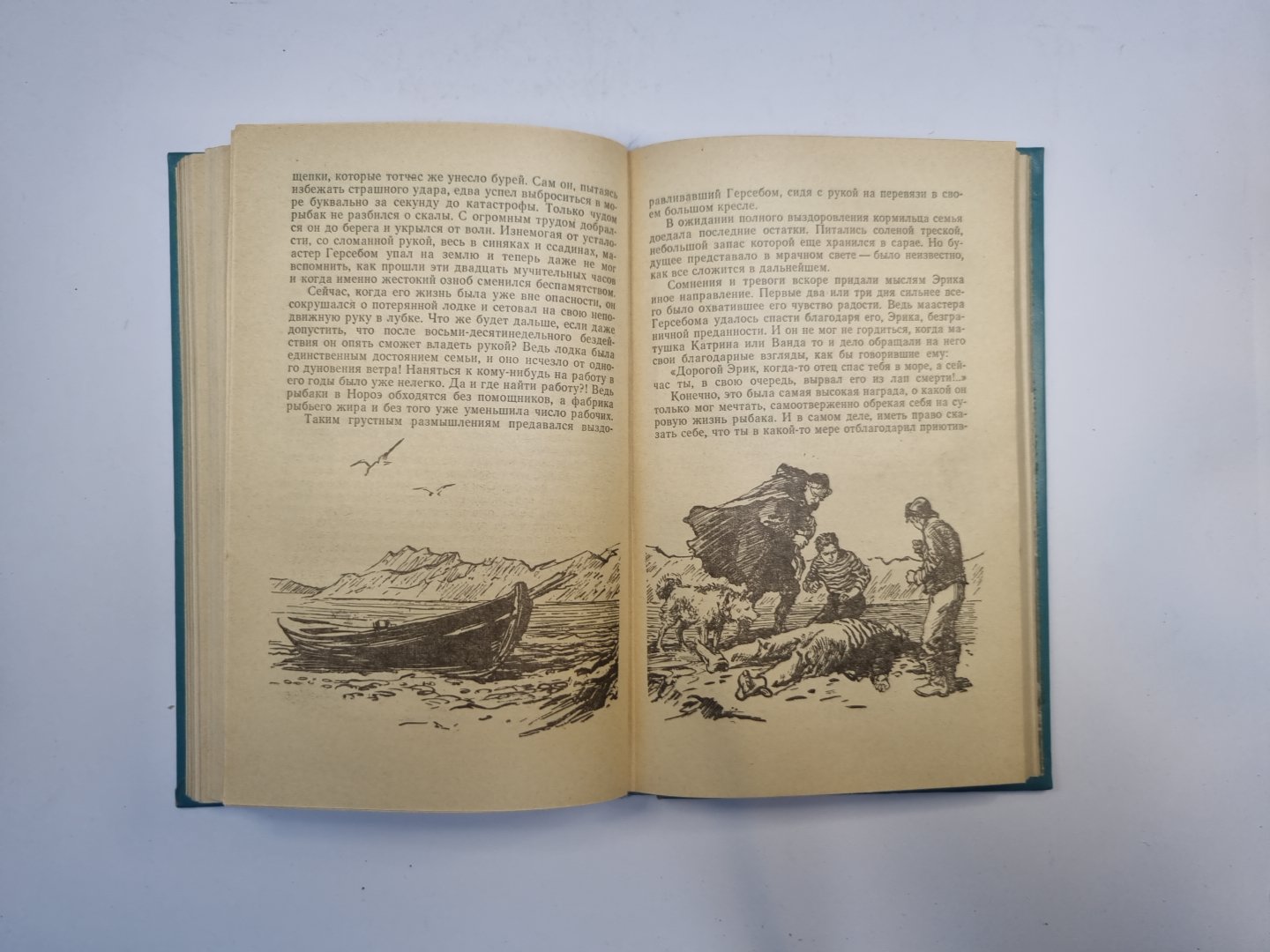 Пятьсот миллионов бегумов. Найденыш с погибшей "Цинтии" (Библиотека приключений и научной фантастики)