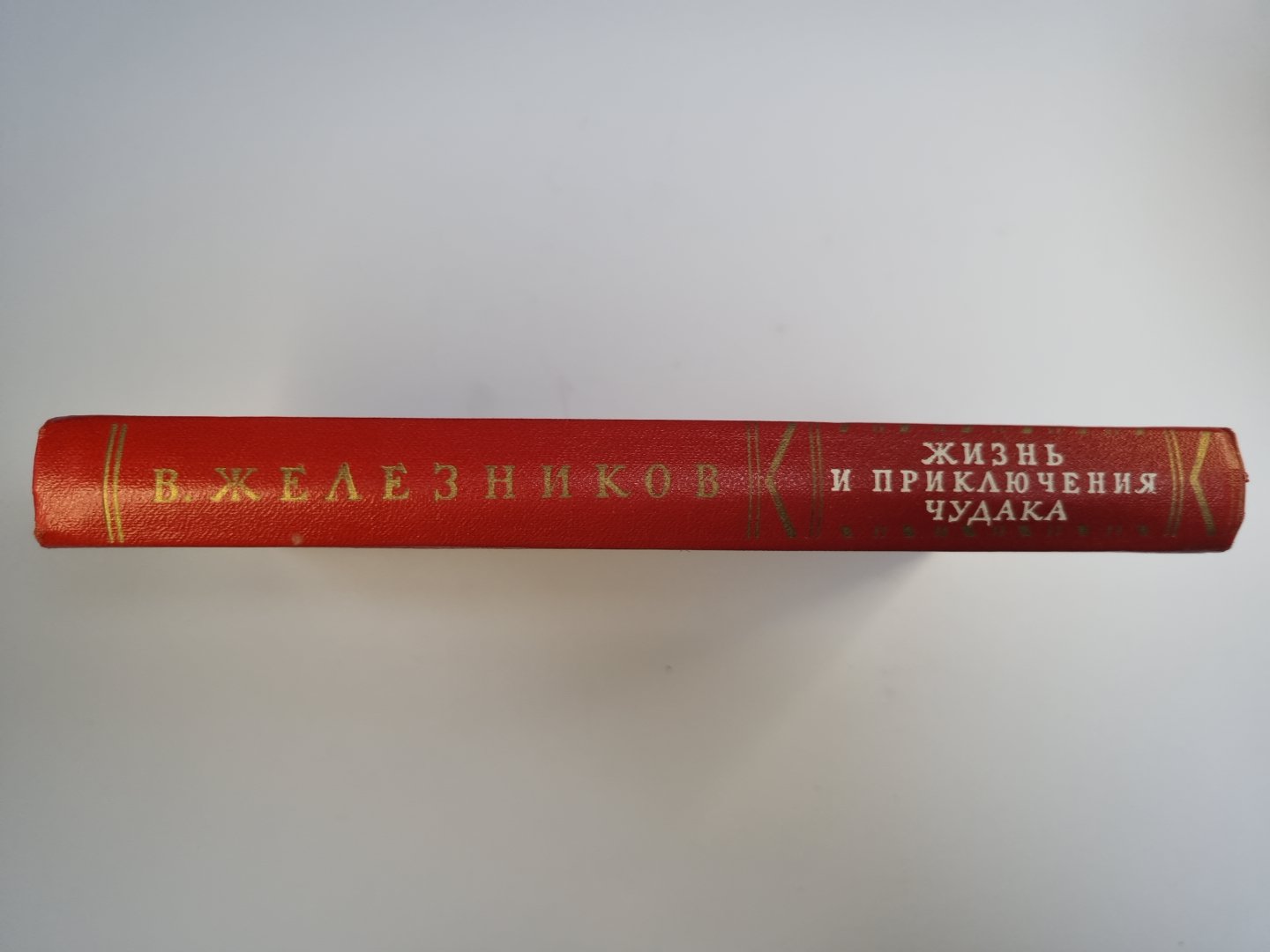 Жизнь и приключения чудака. Повести