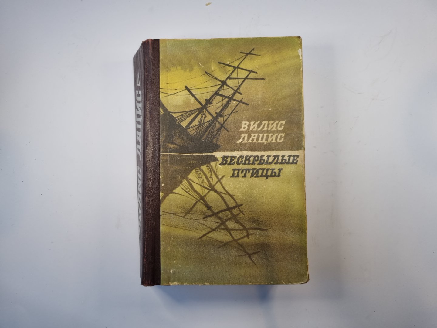 Бескрылые птицы