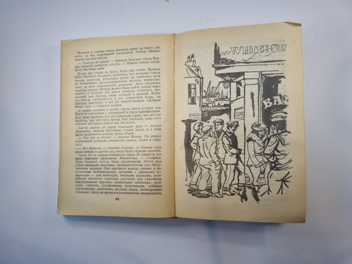 Бескрылые птицы