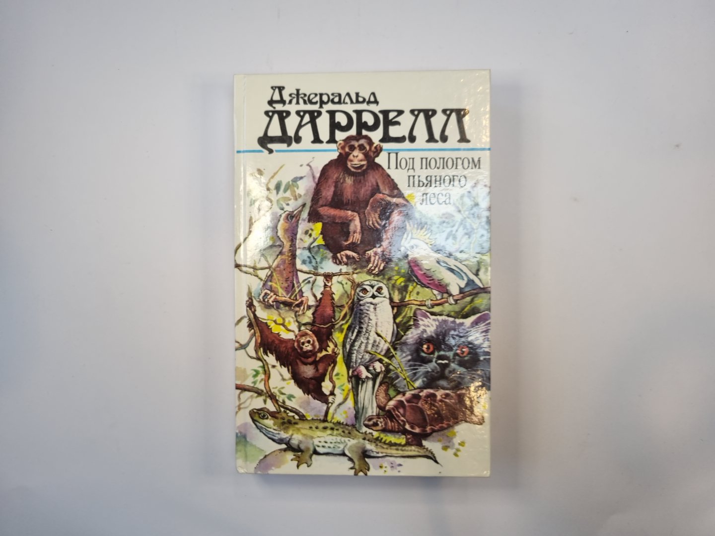 Под пологом пьяного леса