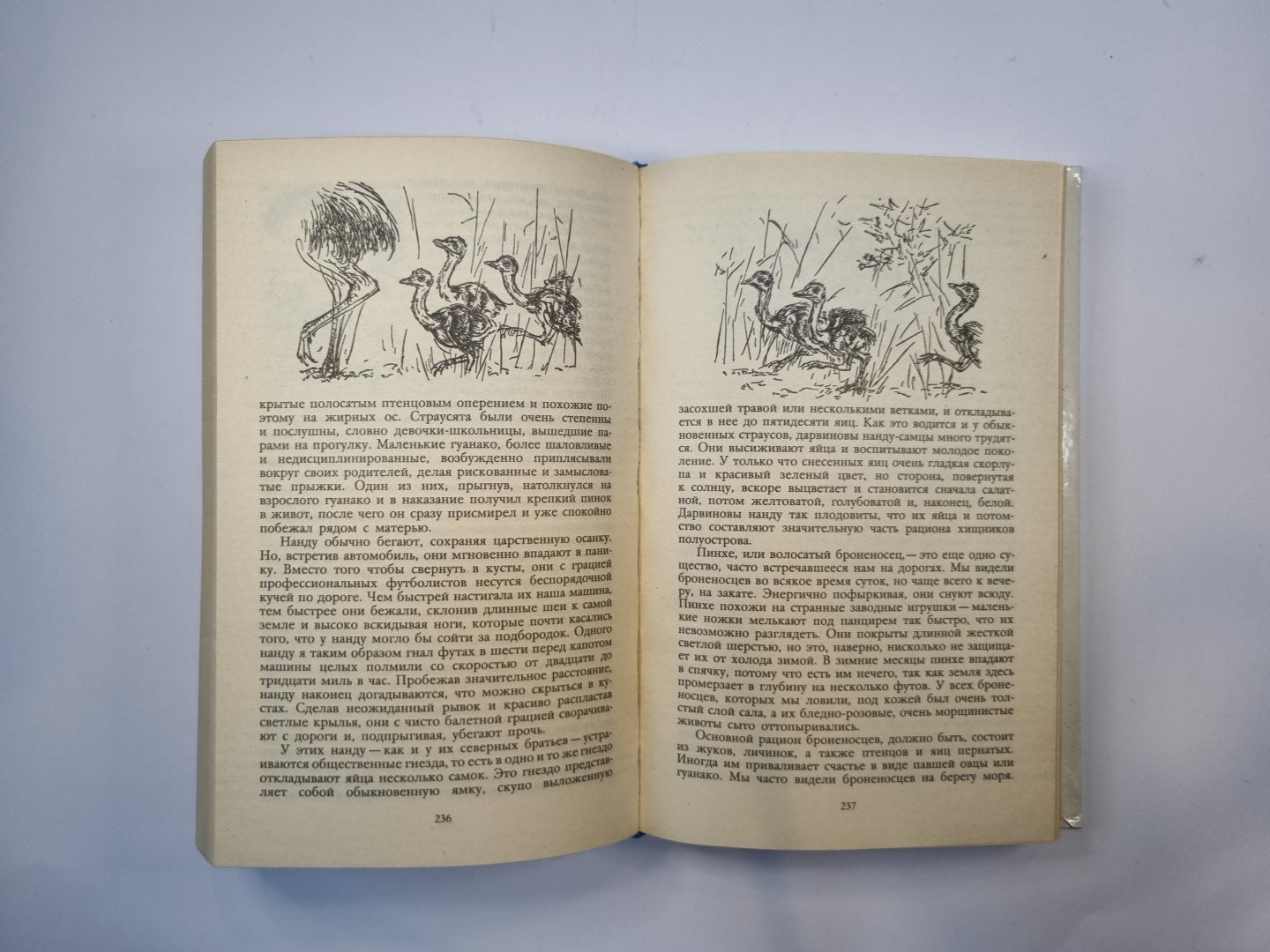 Под пологом пьяного леса