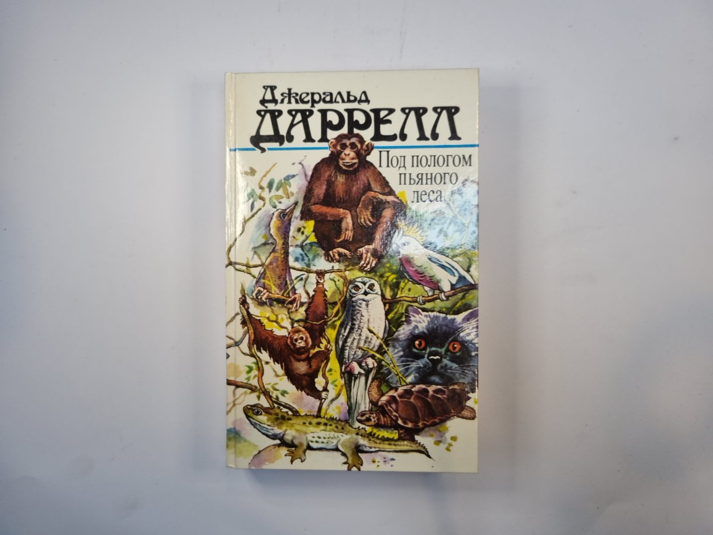 Под пологом пьяного леса