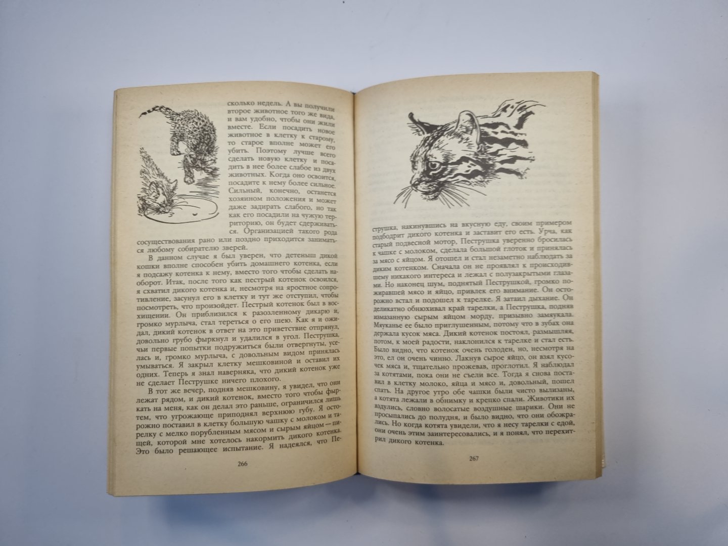 Под пологом пьяного леса