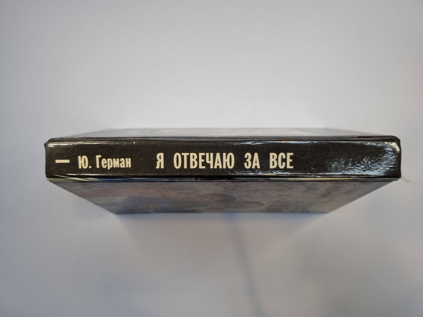 Я отвечаю за все. Роман в двух книгах. Книга 1