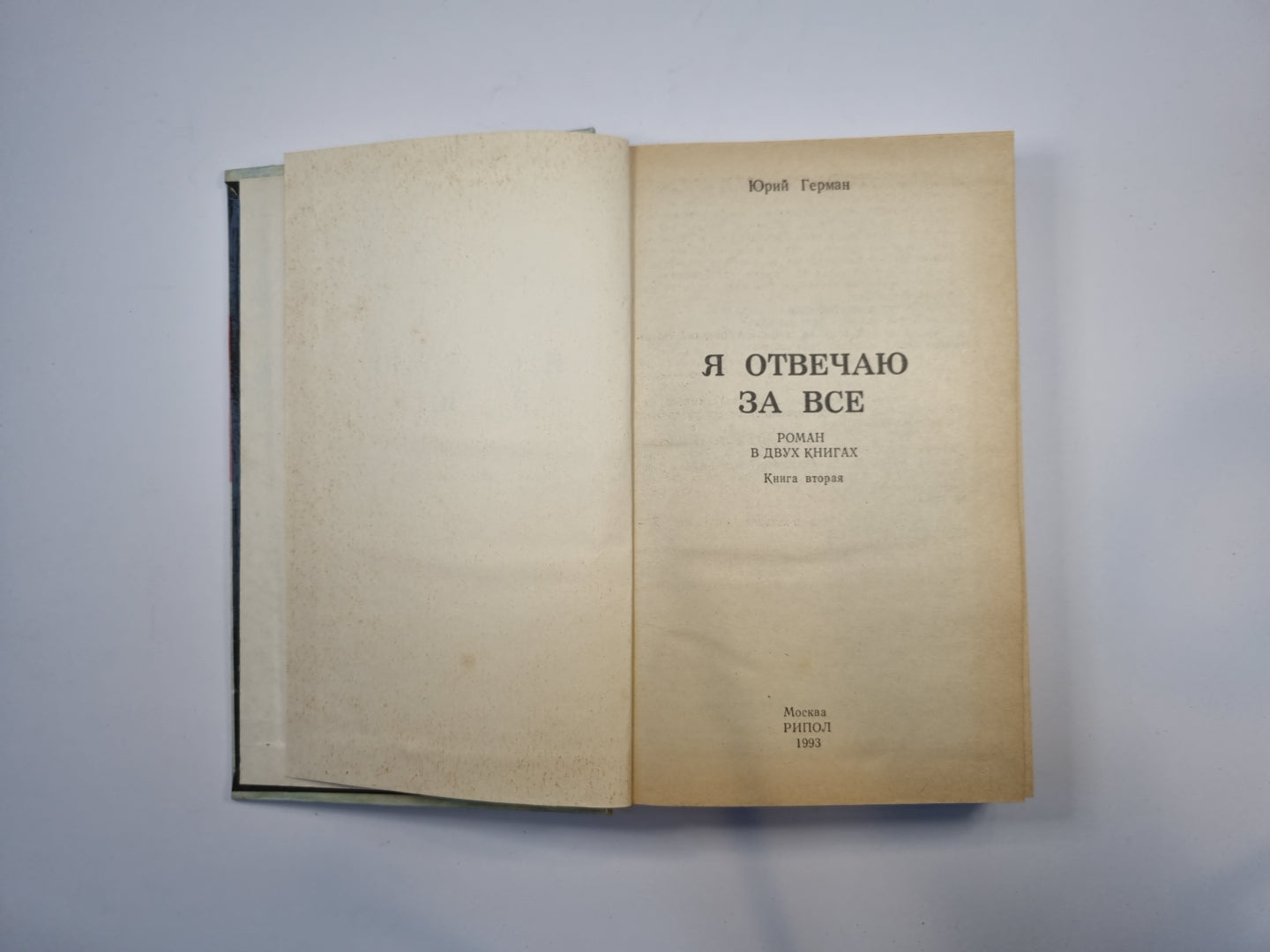 Я отвечаю за все. Роман в двух книгах. Книга 2