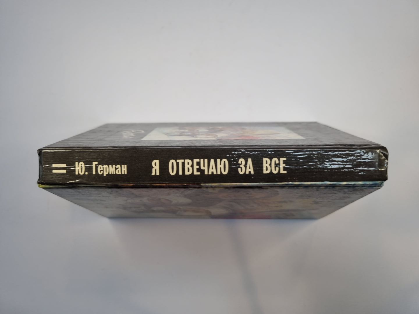 Я отвечаю за все. Роман в двух книгах. Книга 2