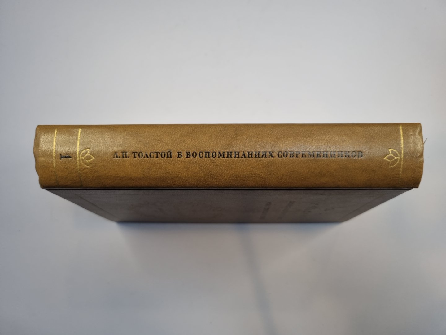 Л. Н. Толстой в воспоминаниях современников. В двух томах. Том 1