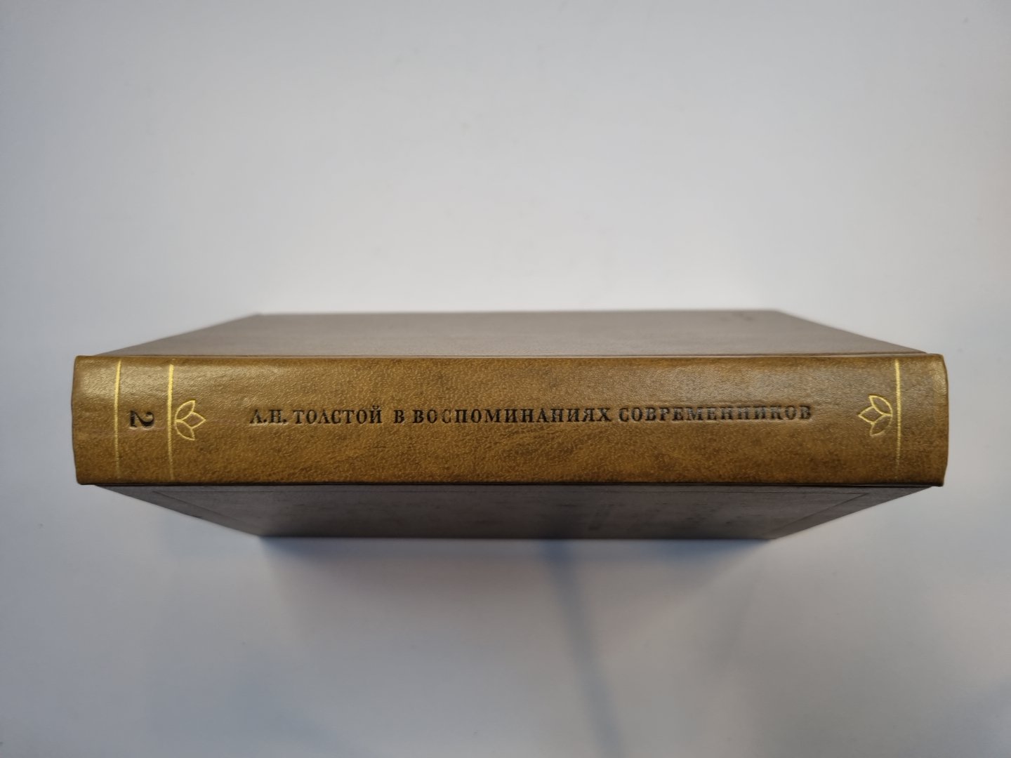 Л. Н. Толстой в воспоминаниях современников. В двух томах. Том 2
