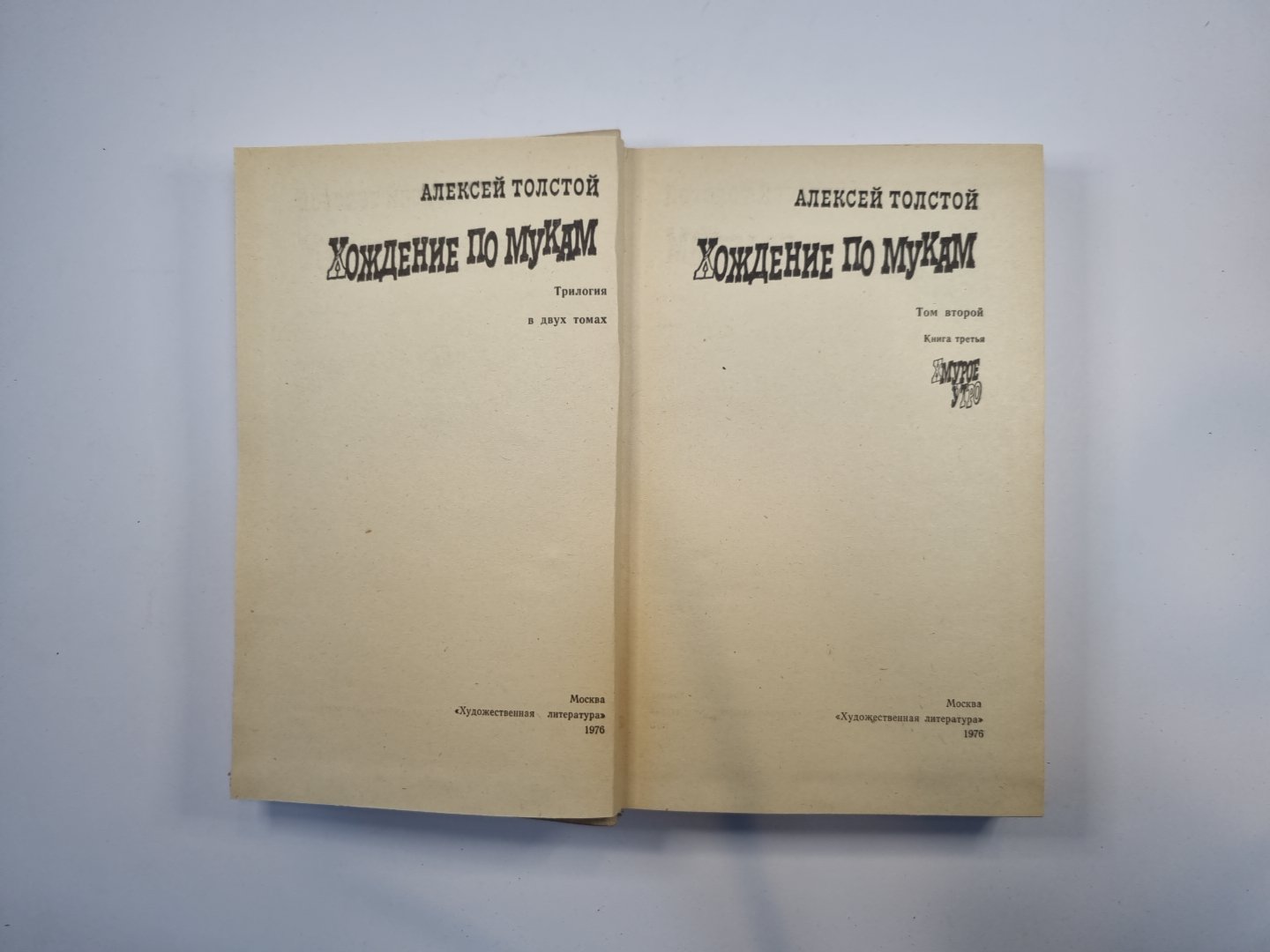 Хождение по мукам. Трилогия в двух томах. Том 2