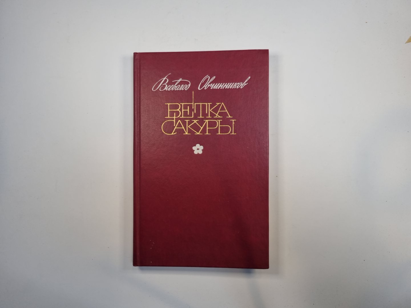 Ветка сакуры