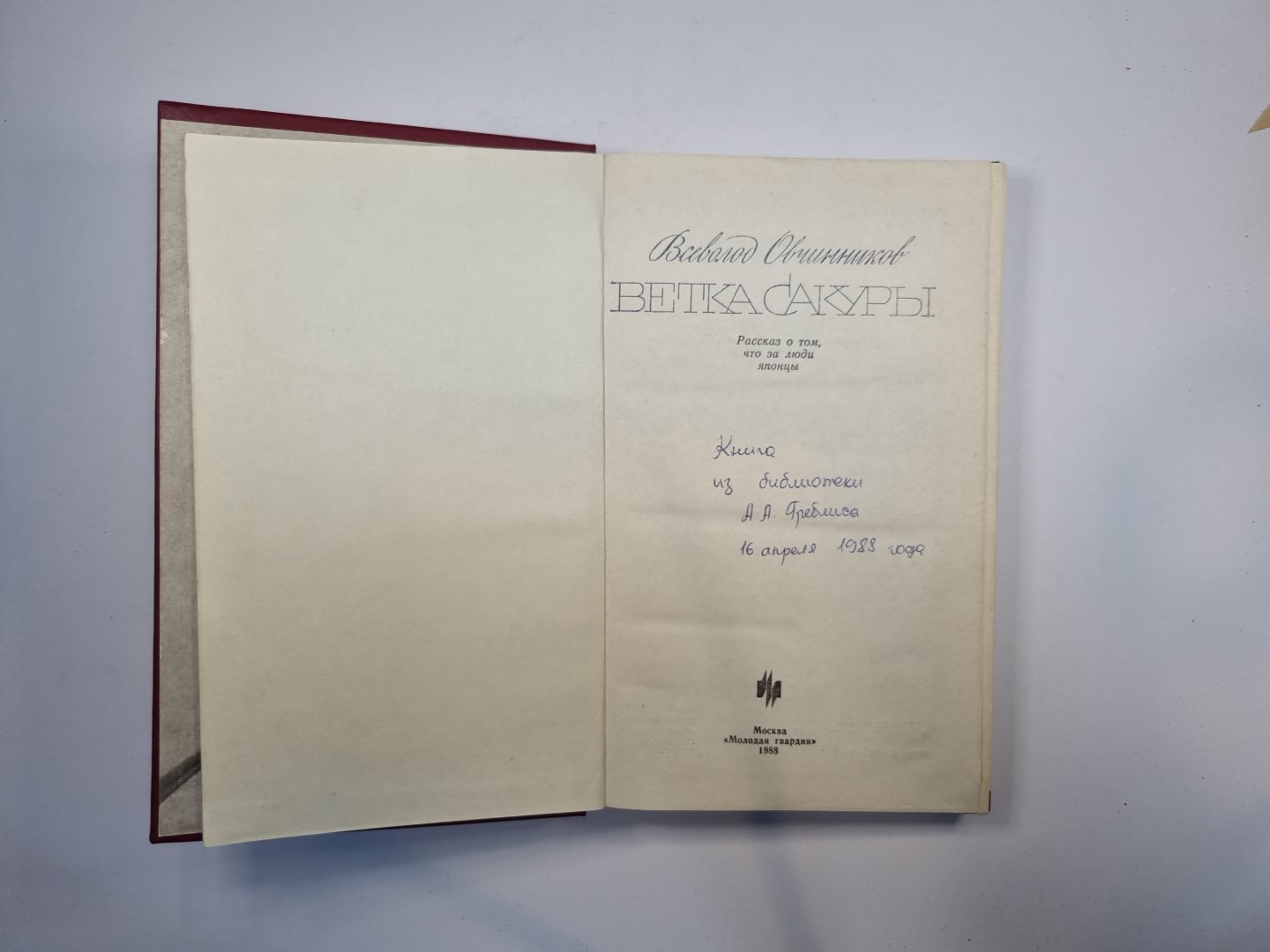 Ветка сакуры