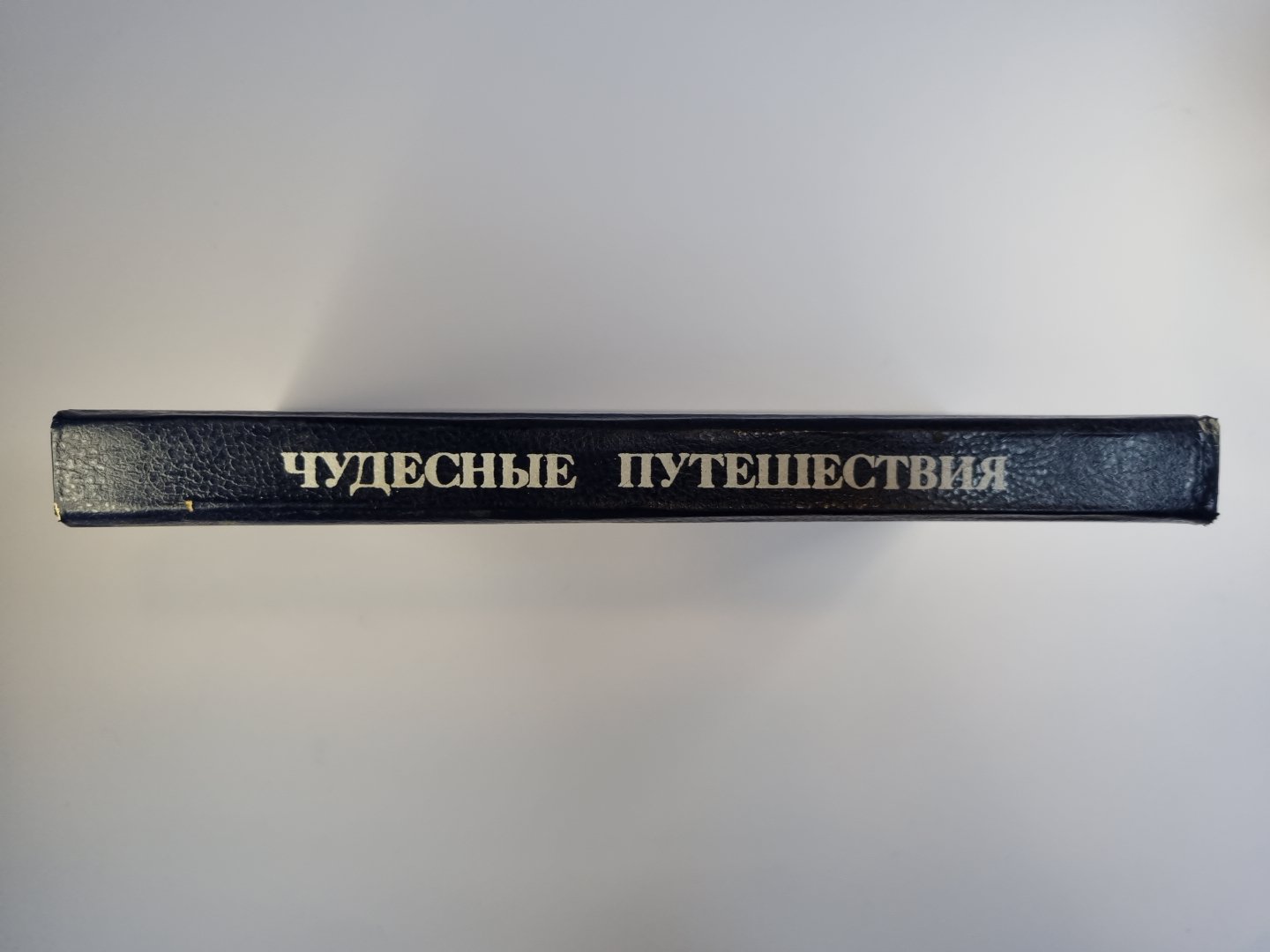 Путешествия Гулливера. Чудесное путешествие Нильса с дикими гусями