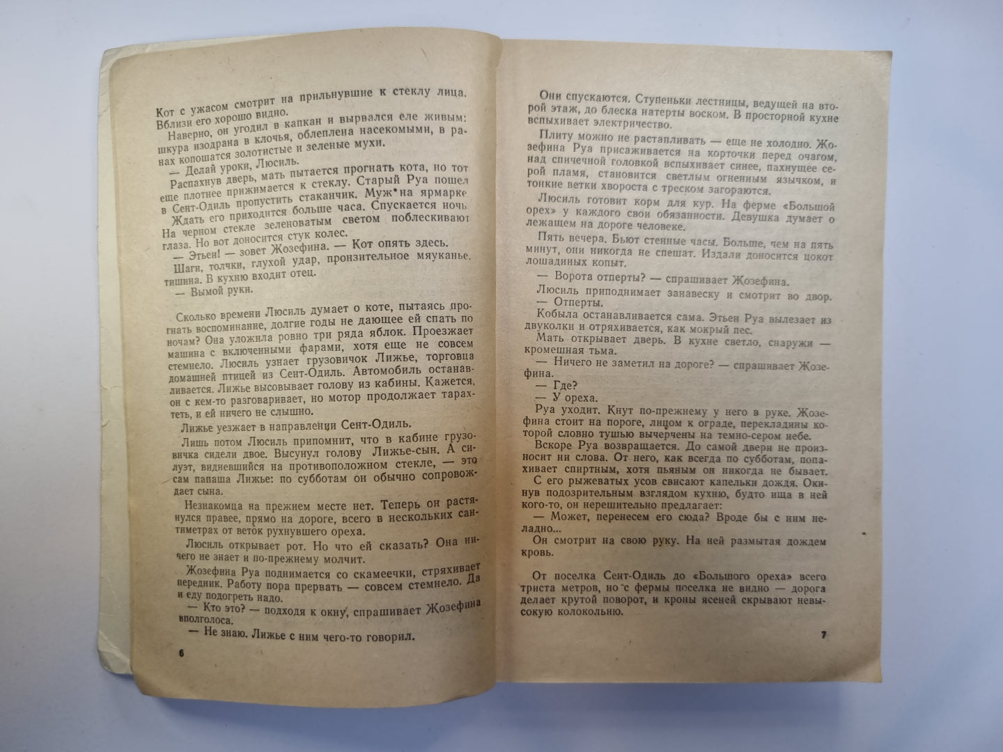 Донесение жандарма. Поезд. Мегрэ и неизвестная