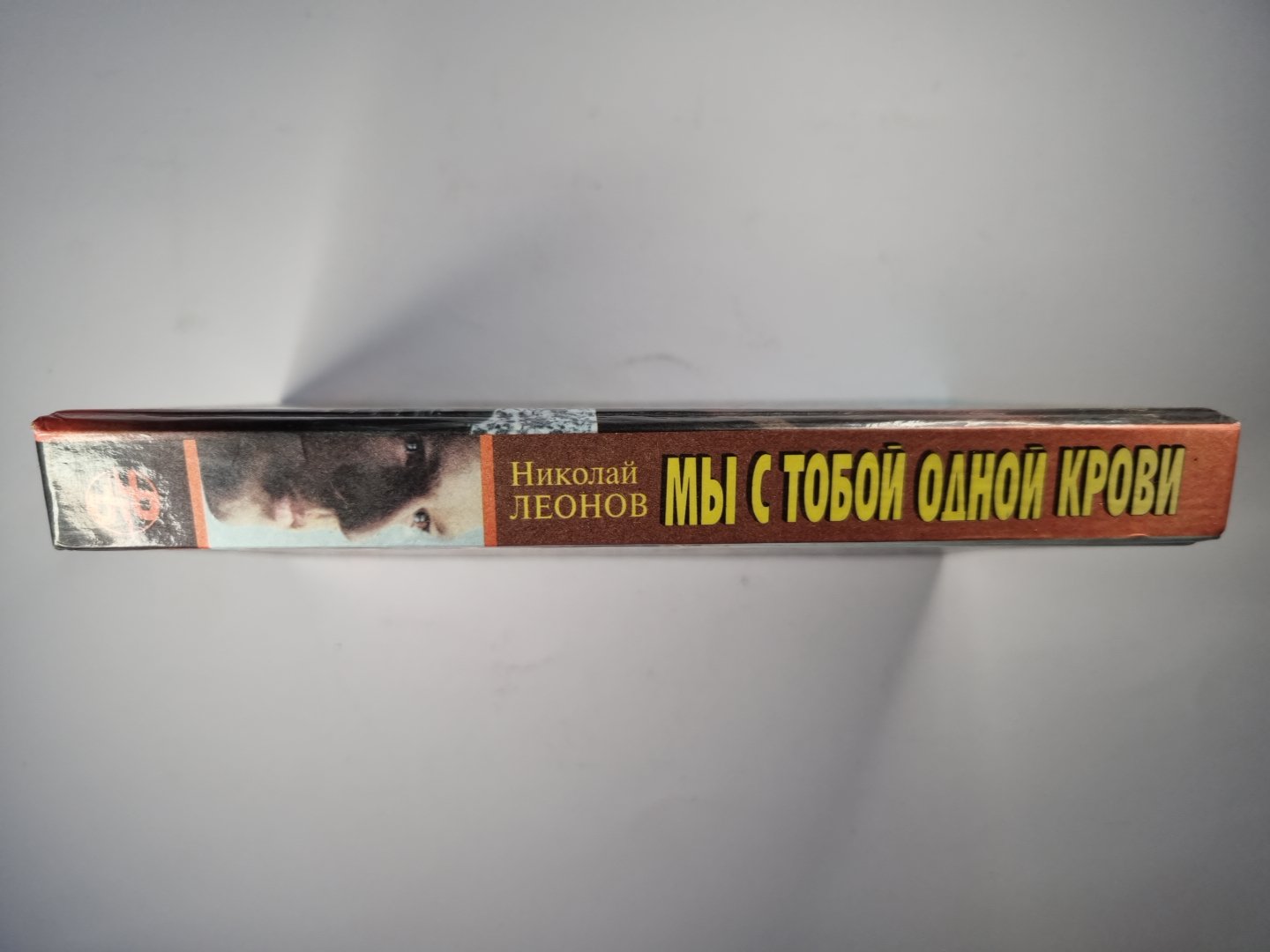 Мы с тобой одной крови