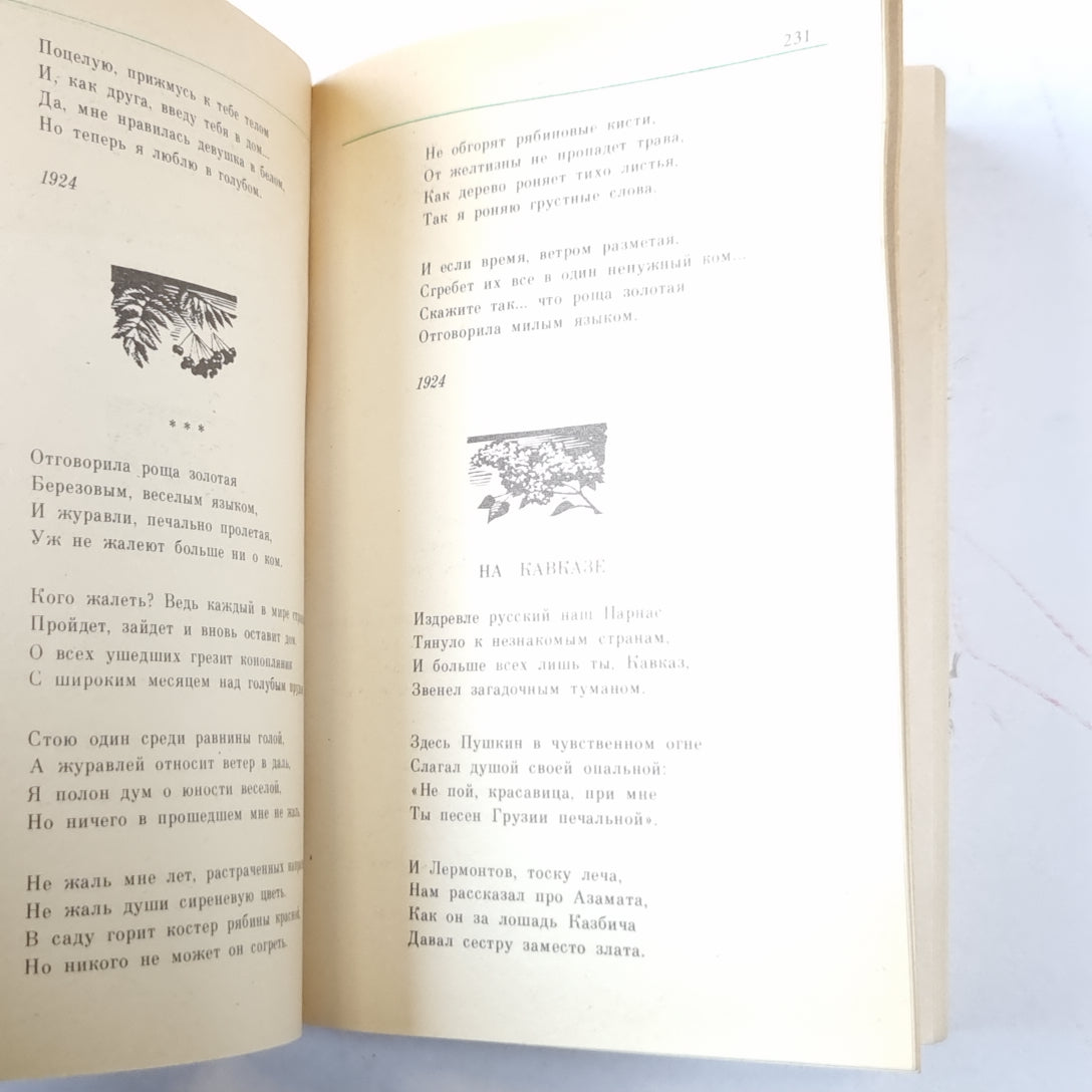 Стихотворения. Поэмы (Серия: "Классики и современники")