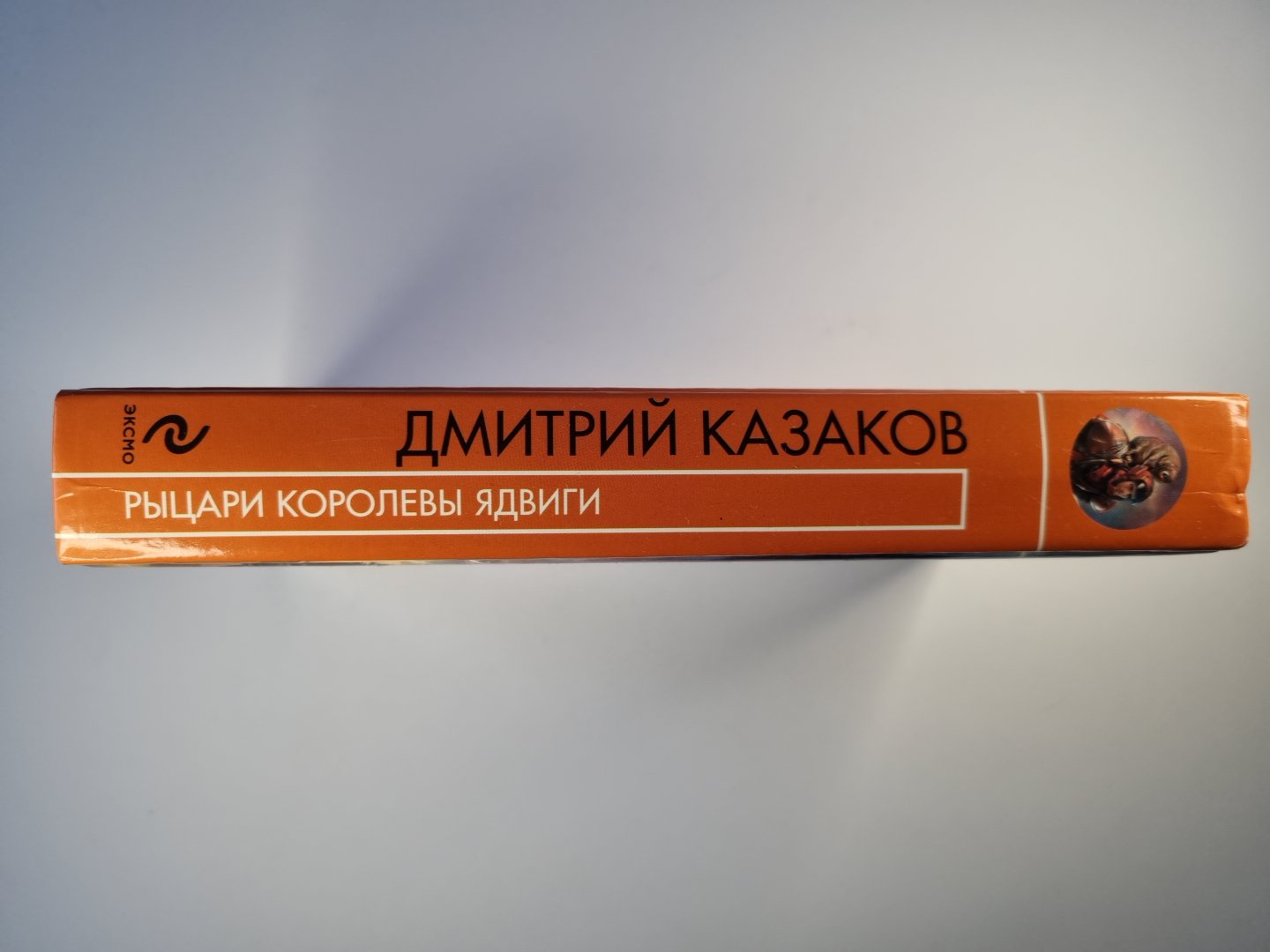 Рыцари королевы Ядвиги