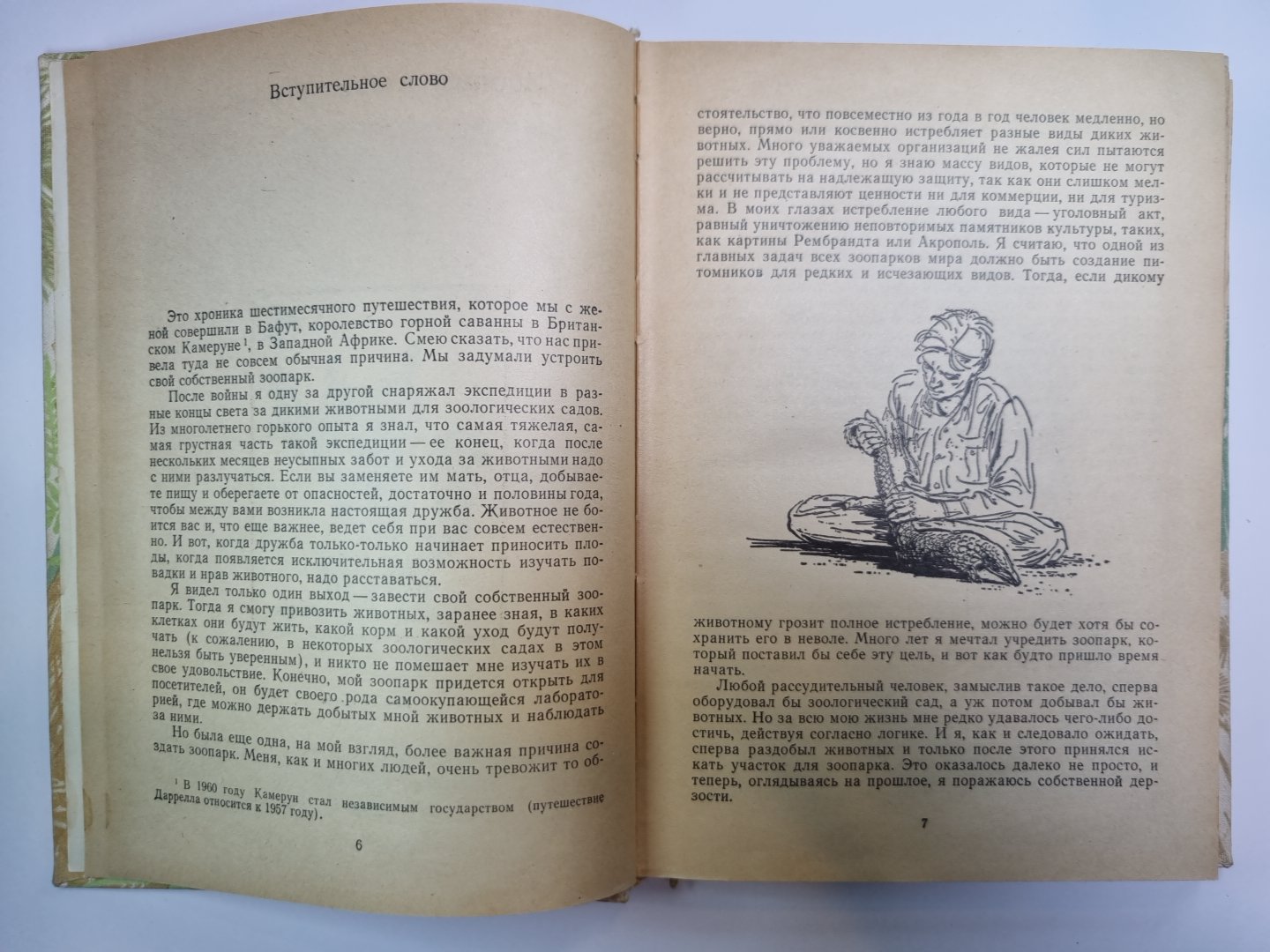 Зоопарк в моем багаже