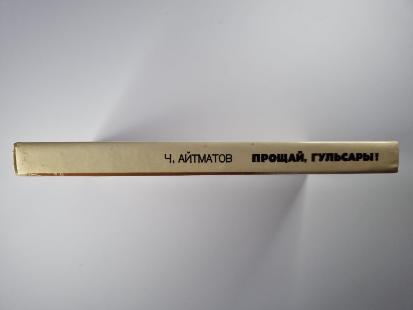 Прощай, Гульсары !