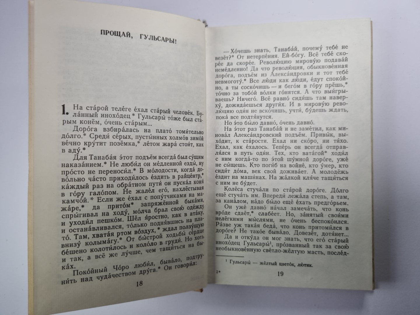 Прощай, Гульсары !