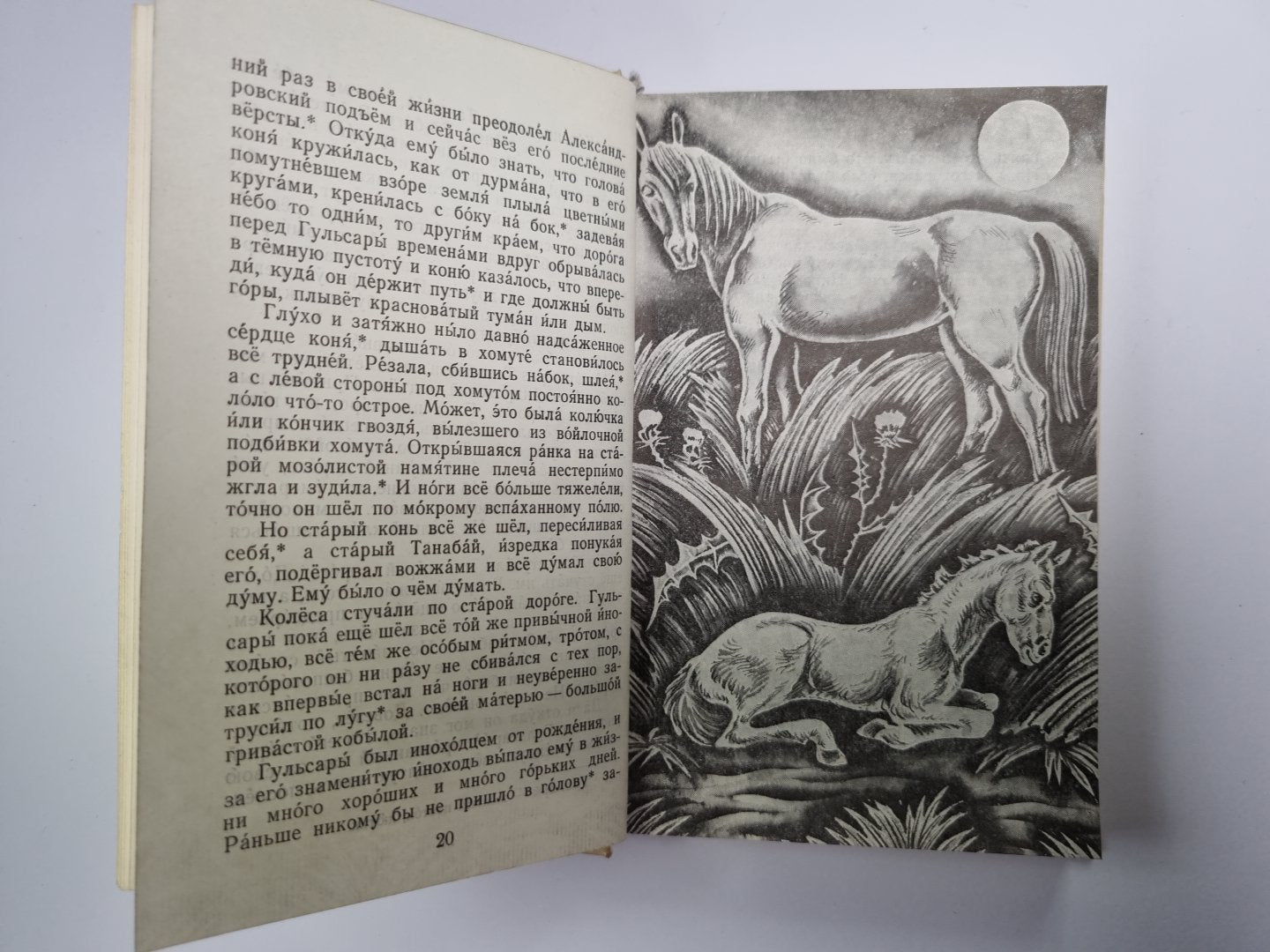 Прощай, Гульсары !