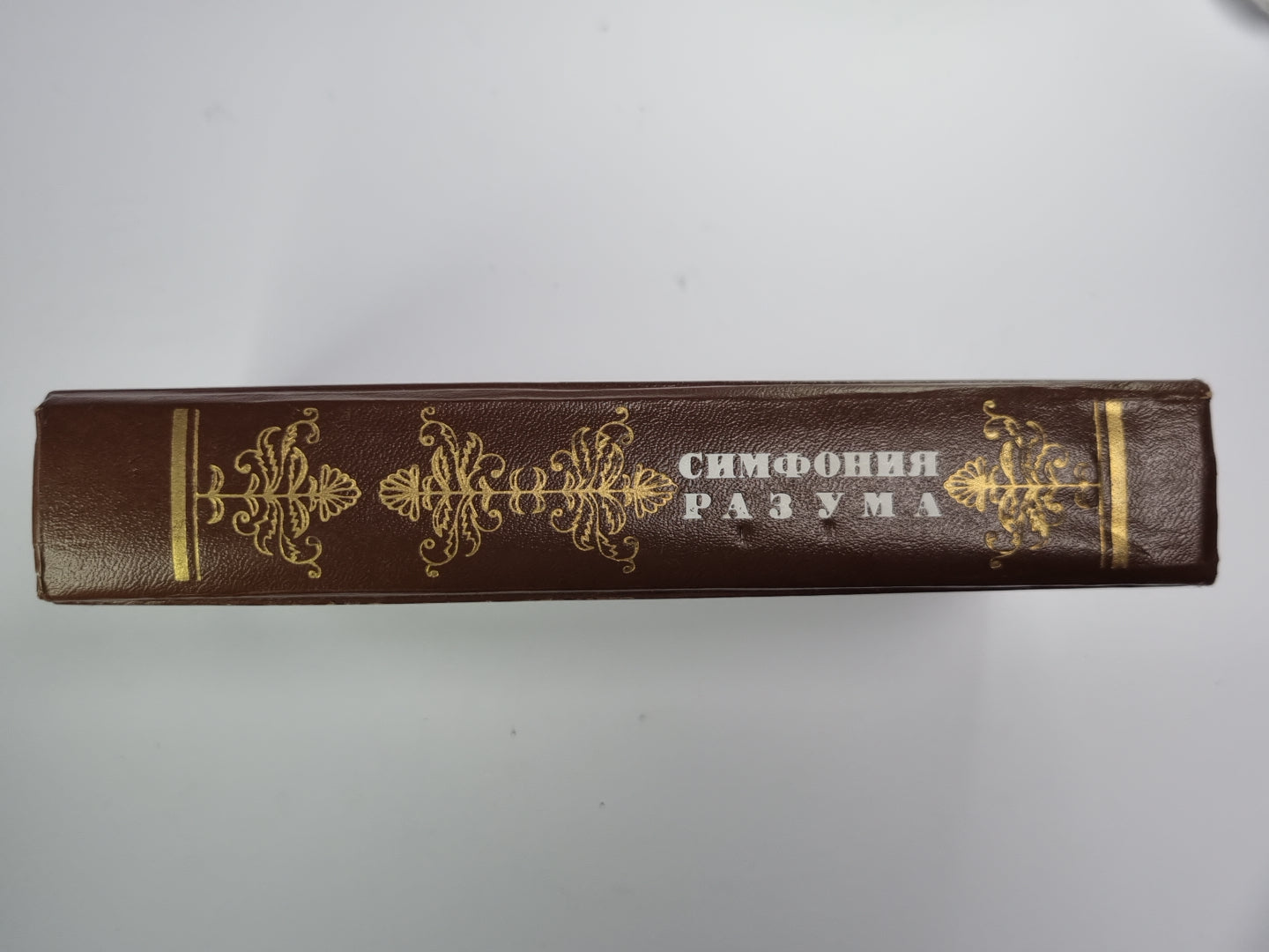 Симфония разума