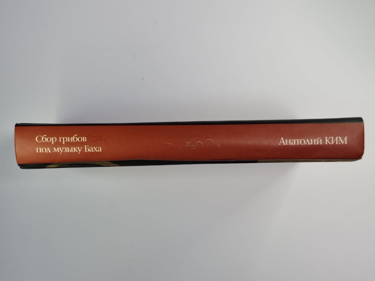 Сбор грибов под музыку Баха. Стена. Близнец