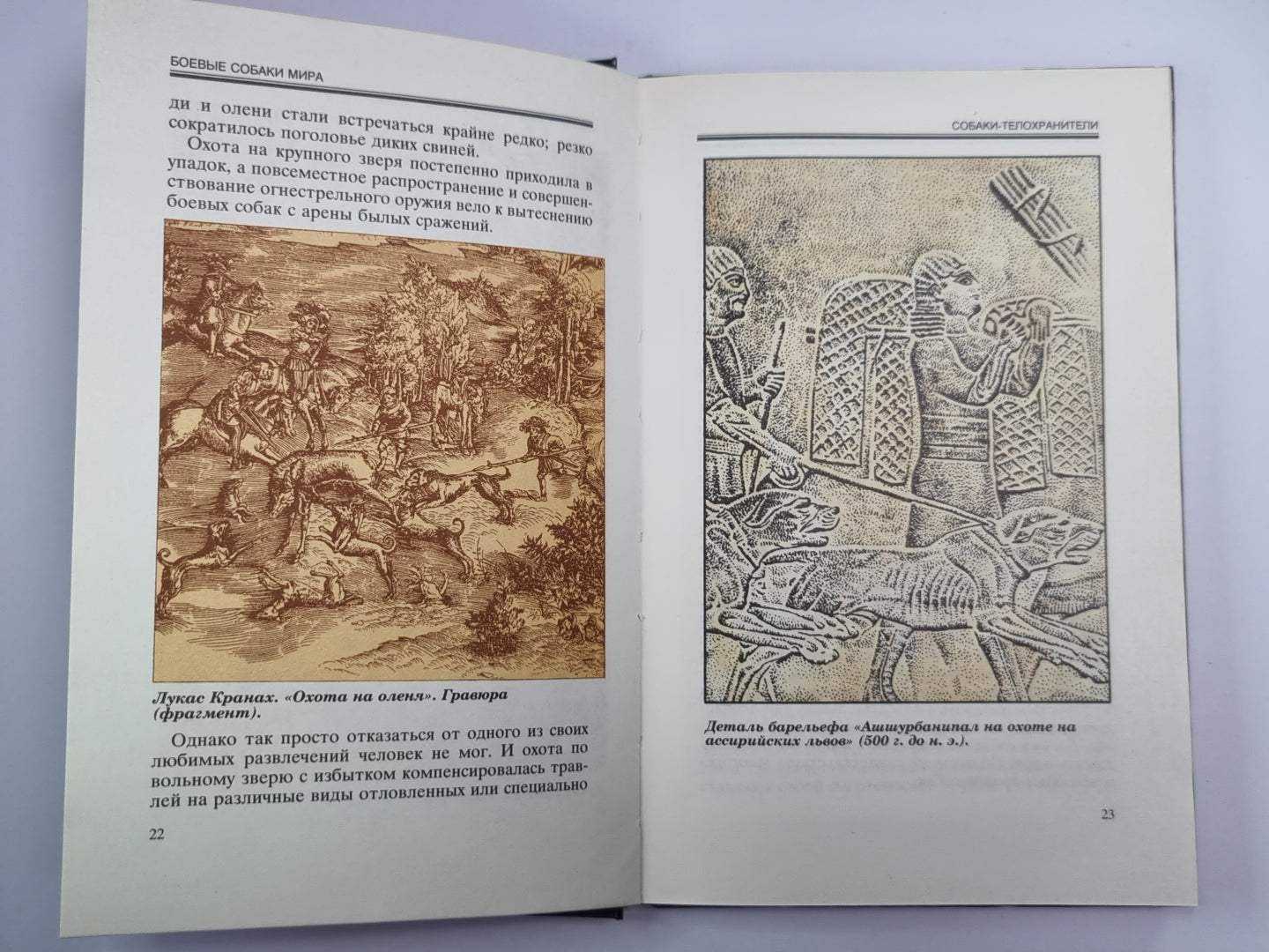 Боевые собаки мира. Собаки - телохранители