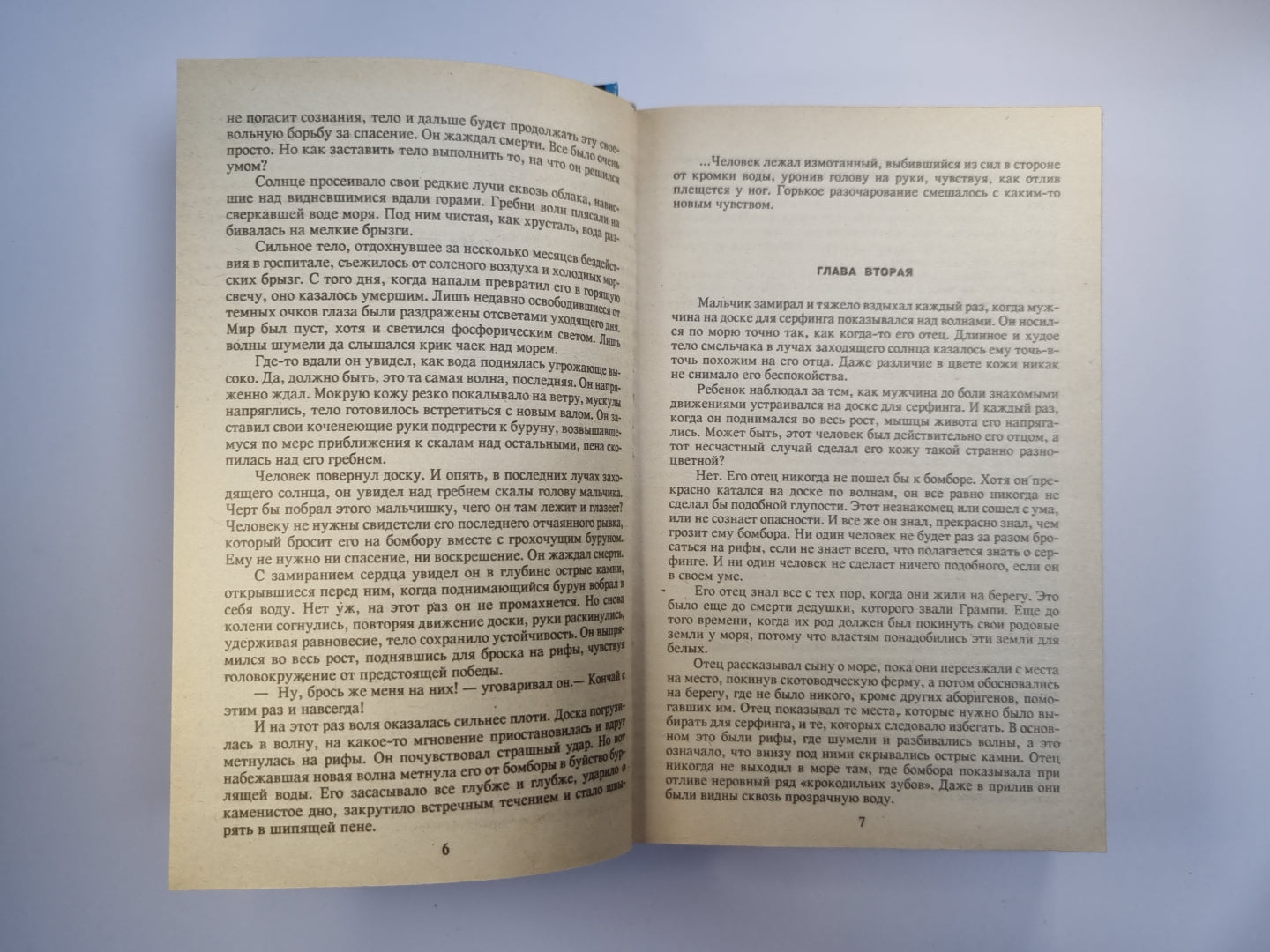 Полусоженное дерево. Скажи смерти ''''Нет''''. Черная молния