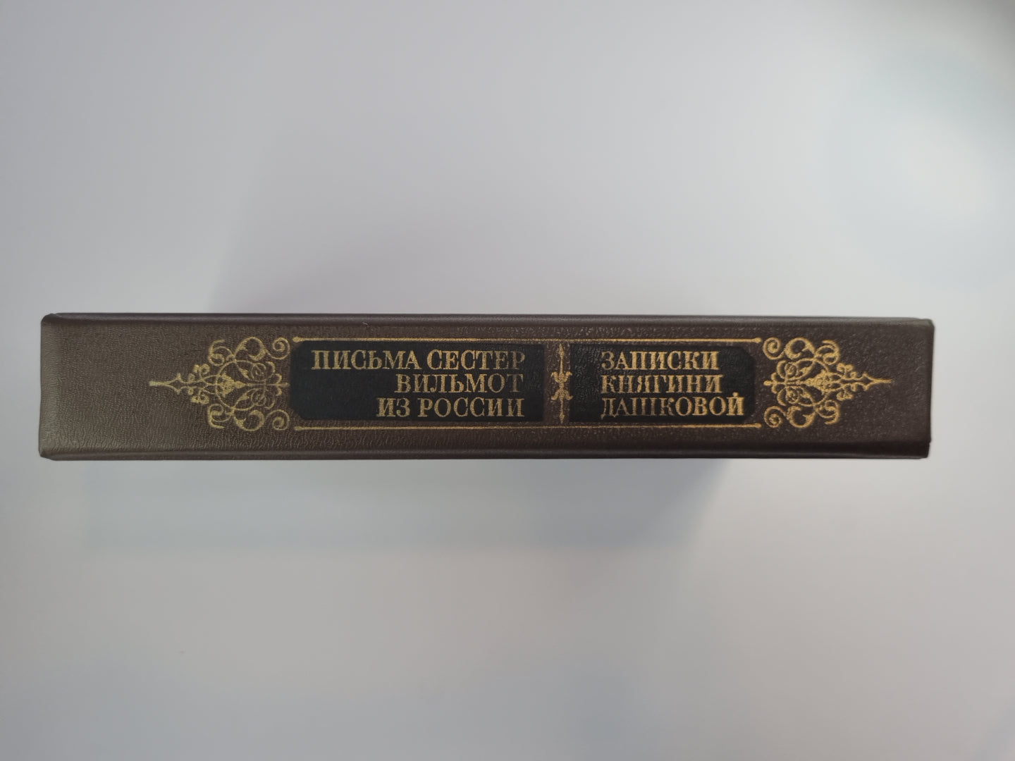 Записики княгини Дашковой. Письма сестер Вильмот из России