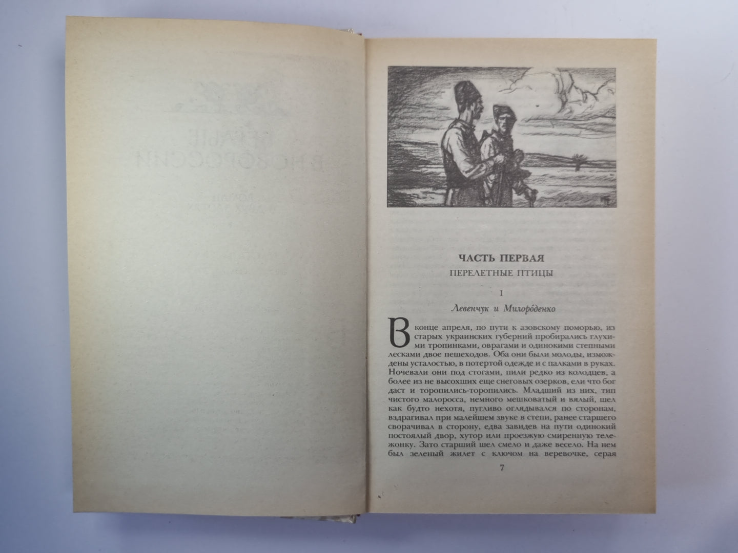 Беглые в Новороссии. Воля. Княжна Тараканова