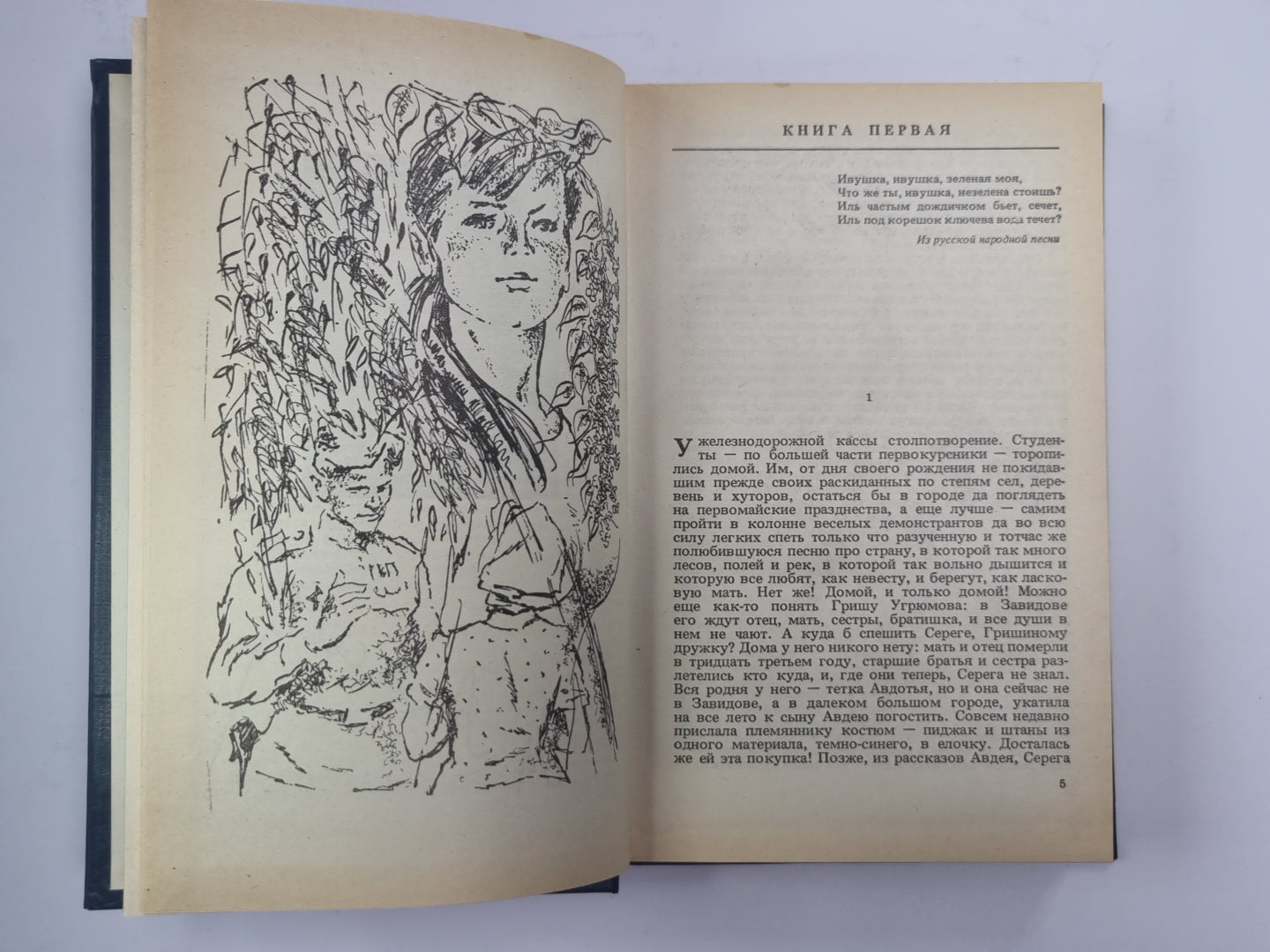 Ивушка неплакучая