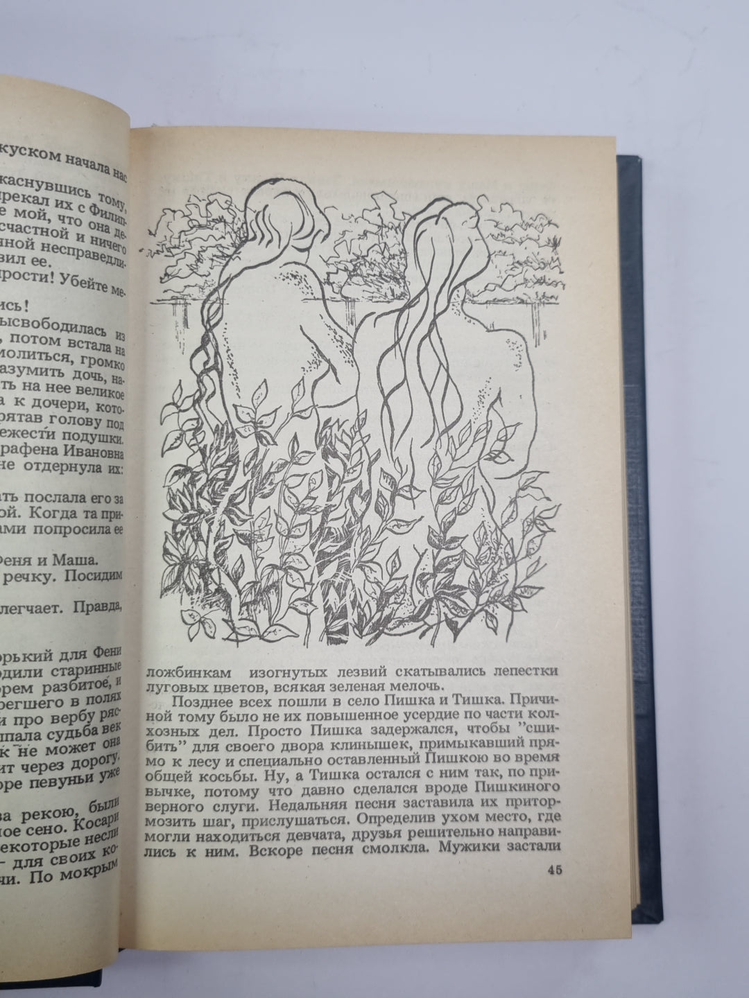 Ивушка неплакучая