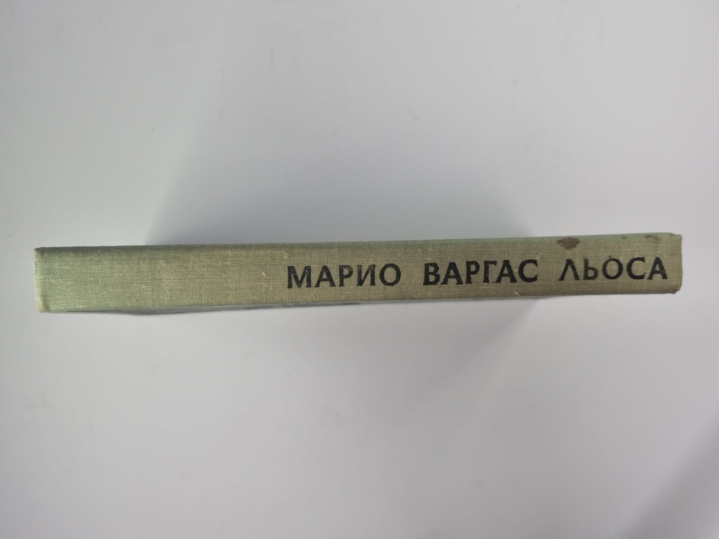 Капитан Панталеон и Рота добрых услуг