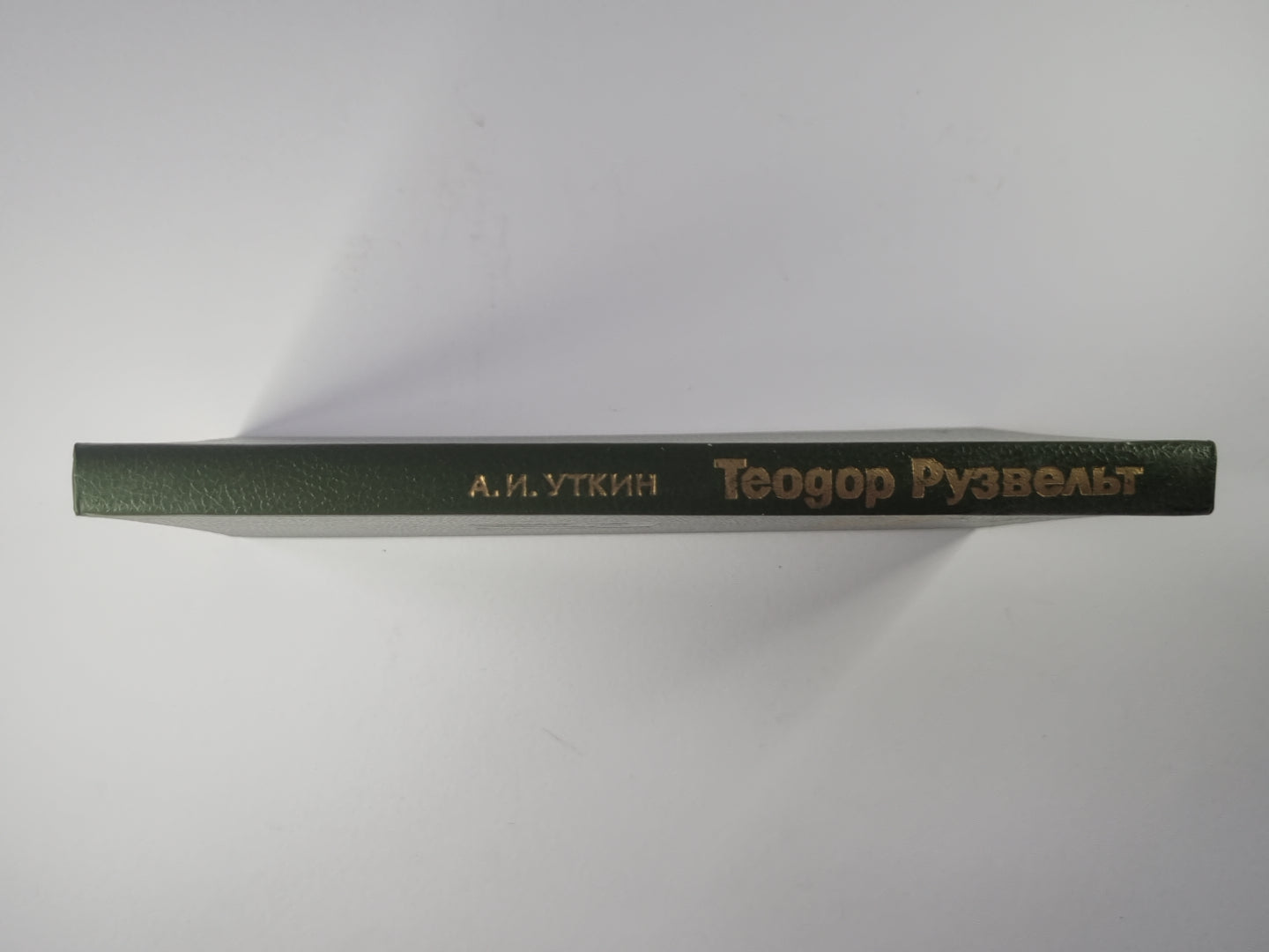 Théodore Ruzvelt. Portrait politique