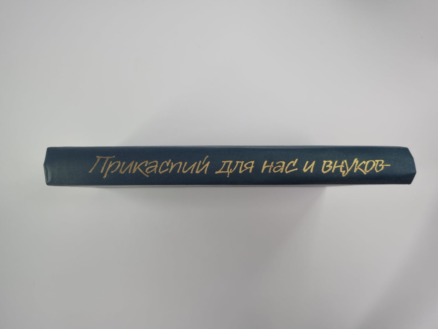 Прикаспийский для нас и внуков. Сборник публицистики по проблемам экологии