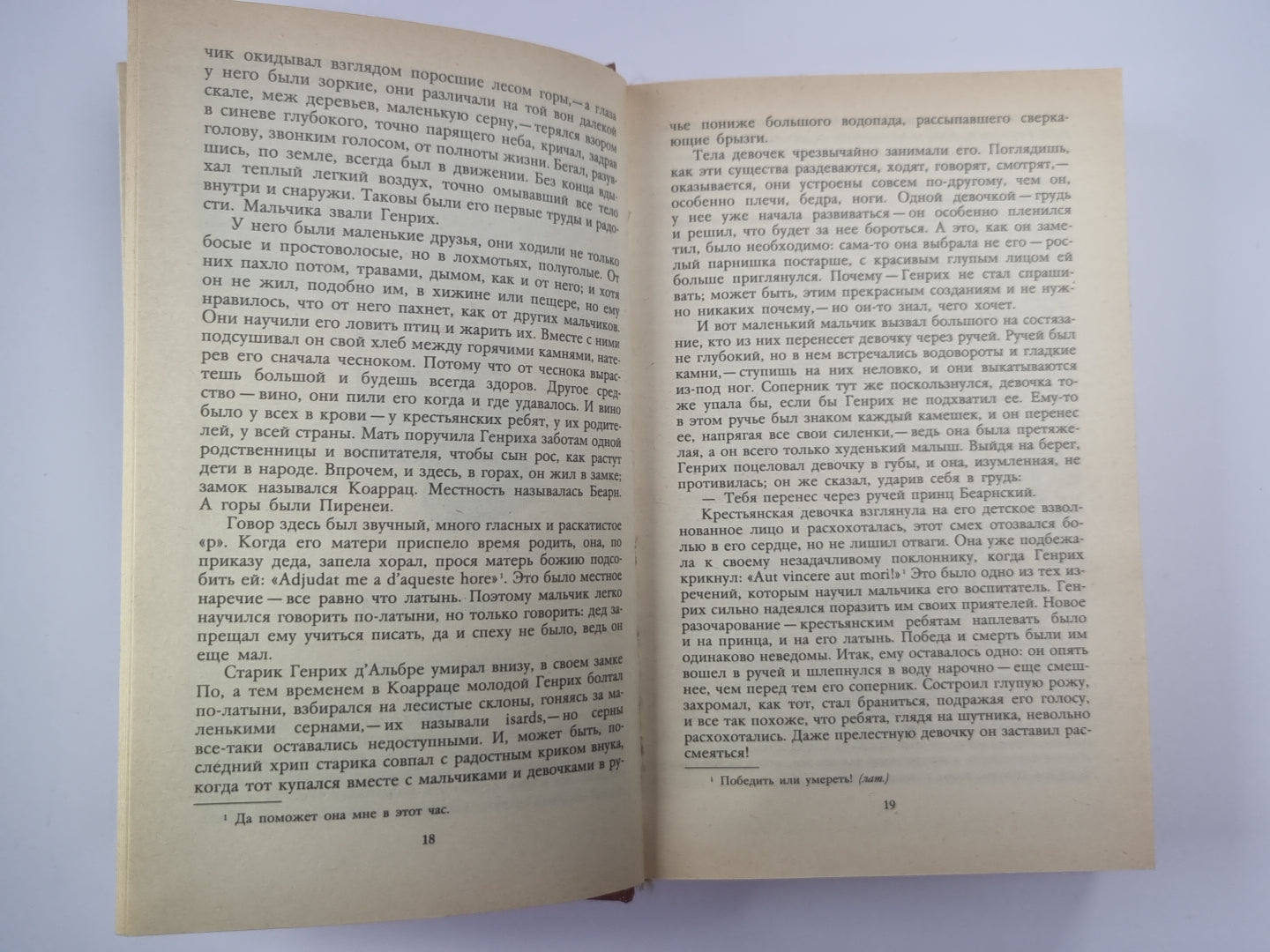 Молодые годы короля Генриха IV