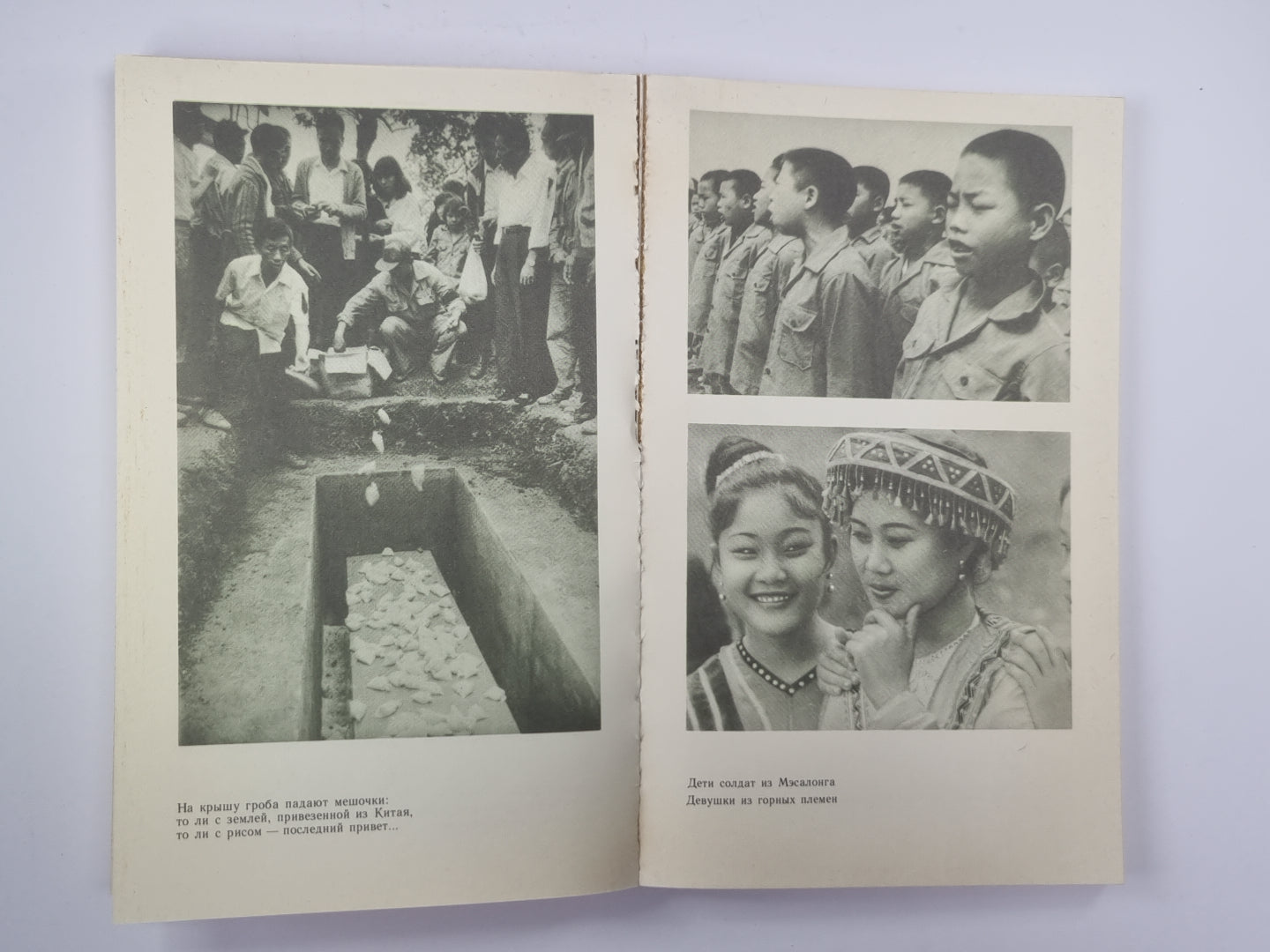 Золотой треугольник