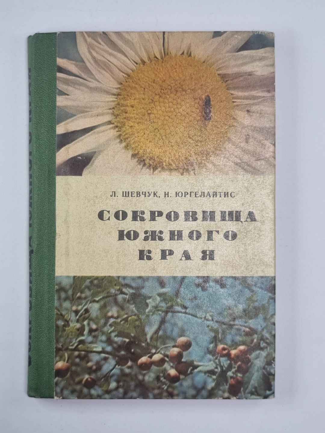 Сокровища южного края